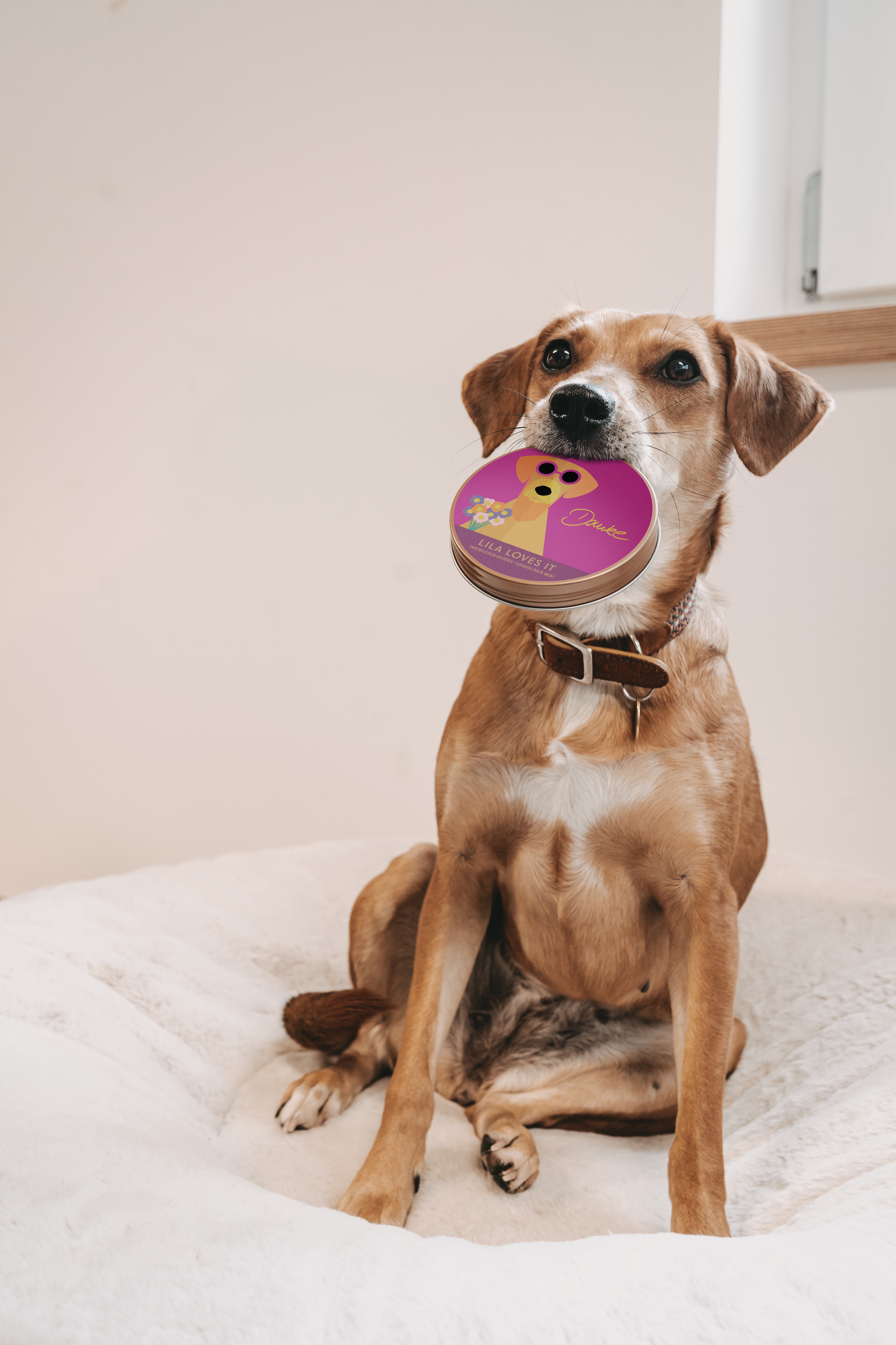 LILA LOVES IT Geschenk Goodies Happy Birthday Ente Hundeleckerli zu Weihnachten