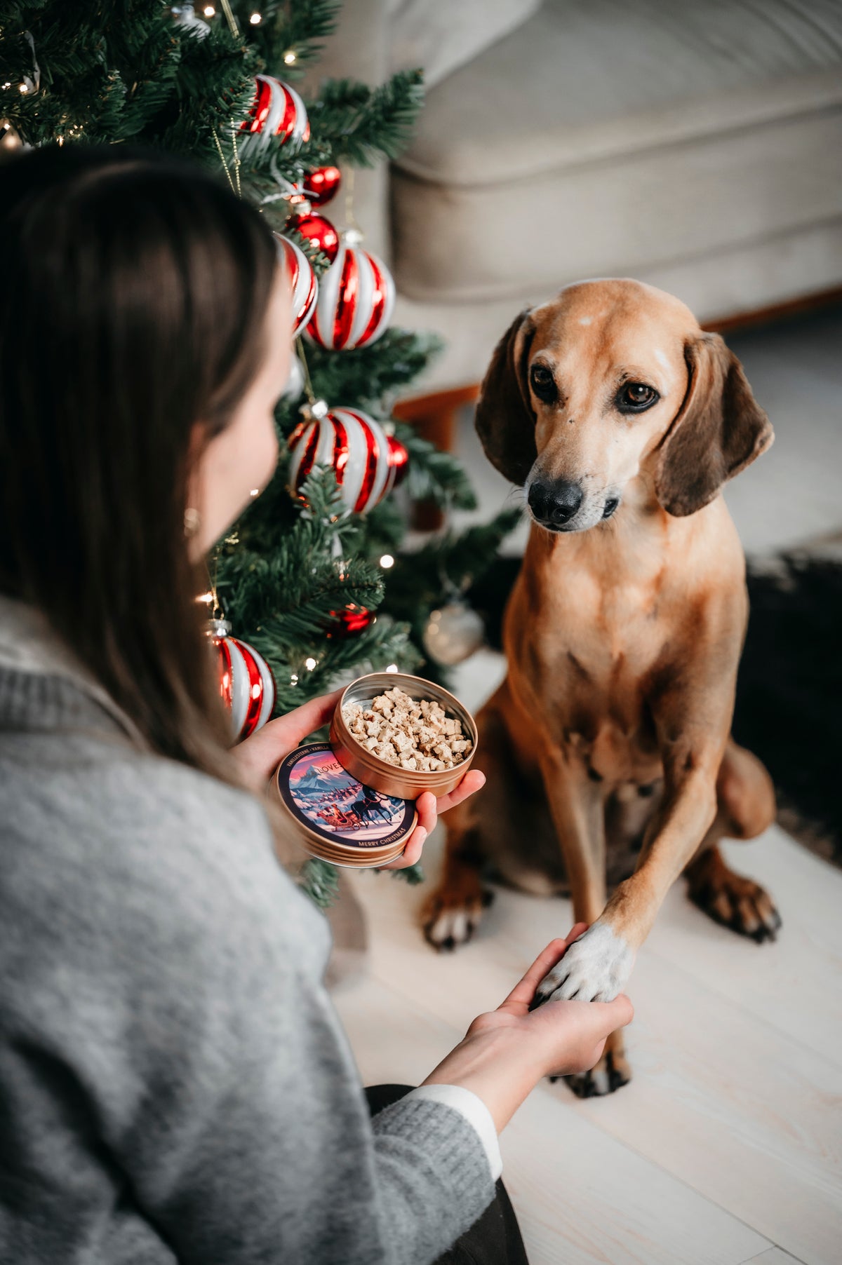 Weihnachts-Goodies - Limited Edition