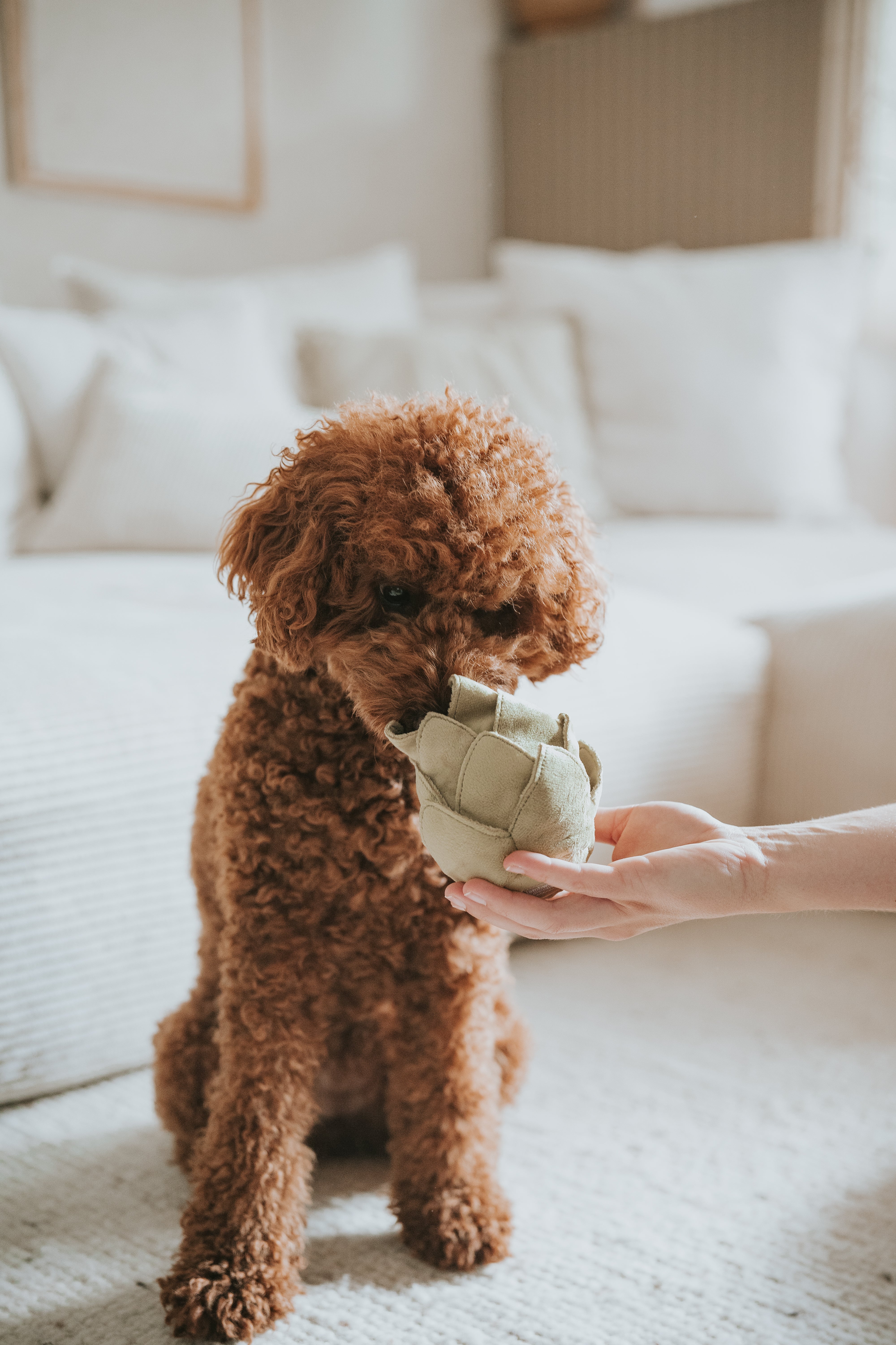 Lambwolf ARTICHOKE Schnüffelartischocke Beschäftigungsspielzeug für Hunde Alleinebleiben