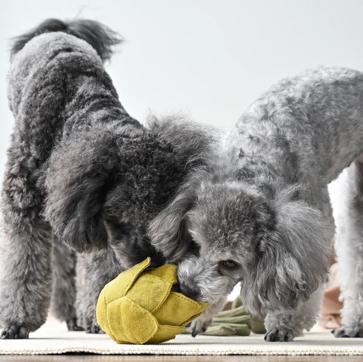 Lambwolf ARTICHOKE Schnüffelartischocke Hundebeschäftigungsspielzeug