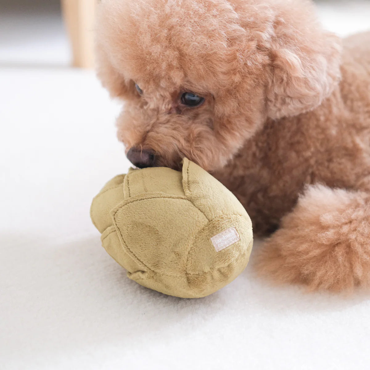 Lambwolf ARTICHOKE Schnüffelartischocke Welpenspielzeug