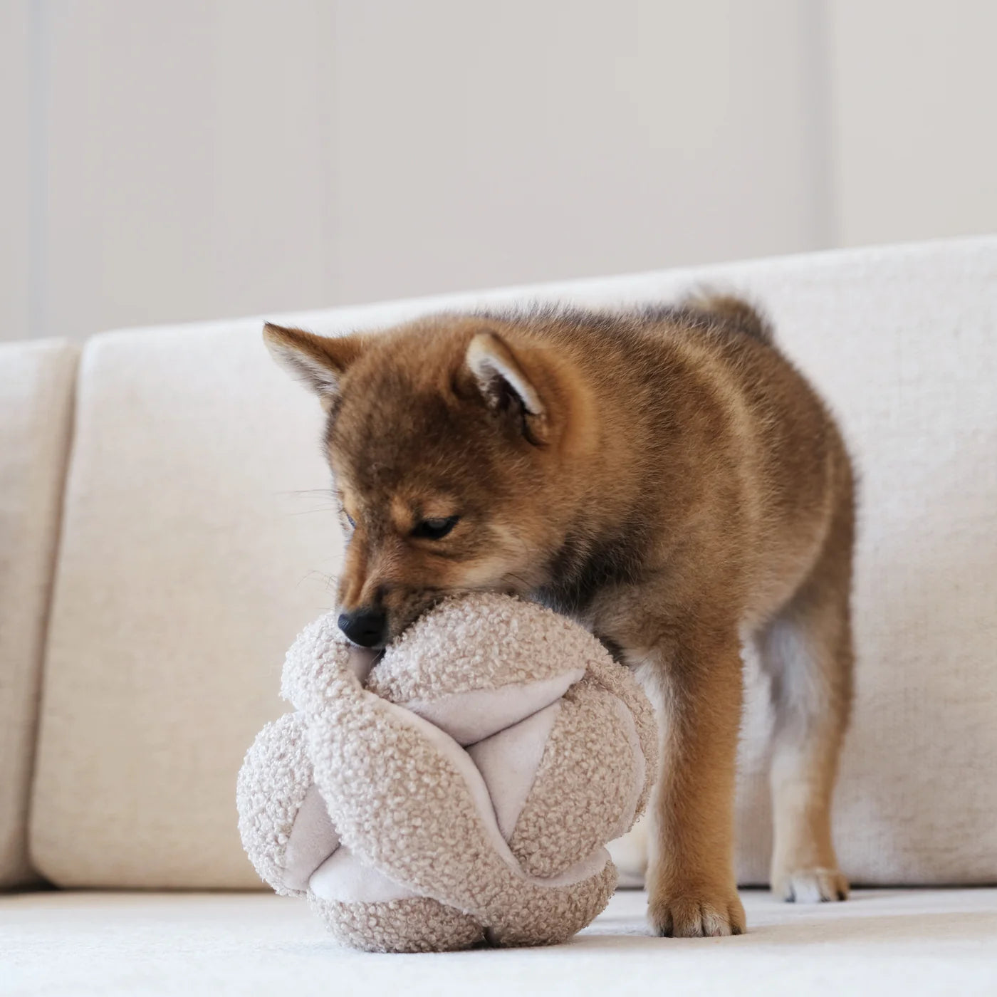 Lambwolf MONTI Schnüffelball Hafer Welpenspielzeug