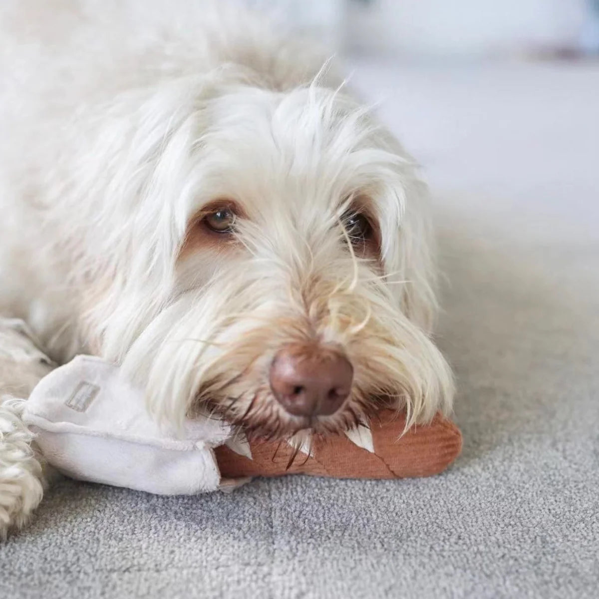 Lambwolf Mini Baguette Hundespielzeug in Brotform