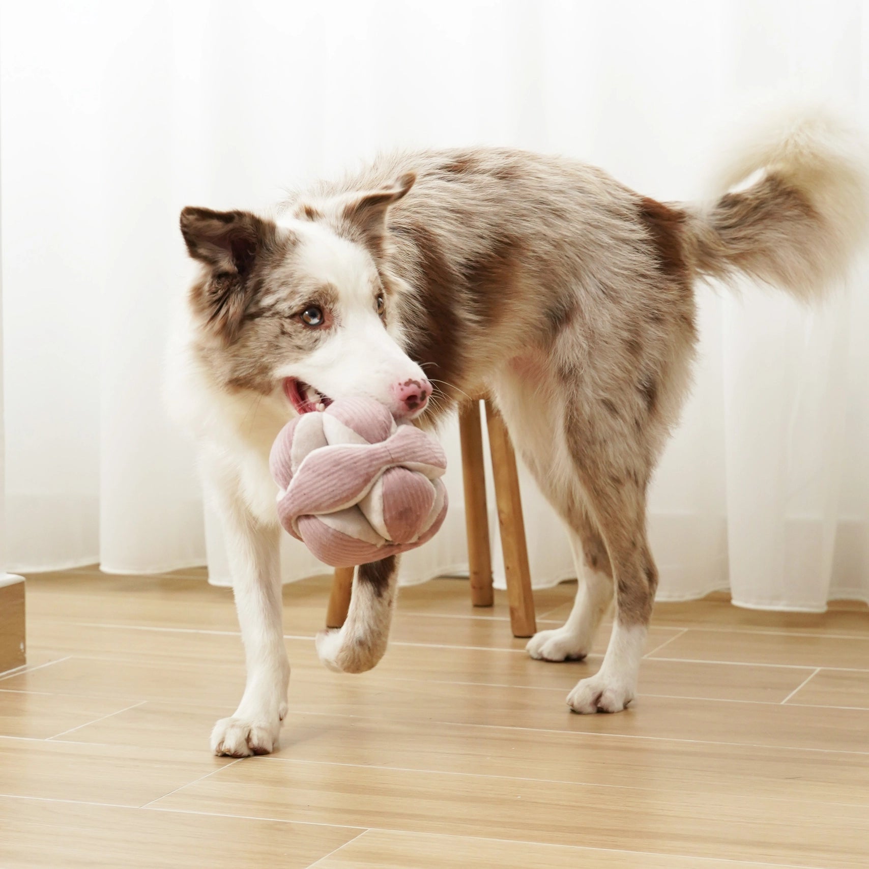 Lambwolf Monti Schnüffelball Purple Beschäftigungsspielzeug für Hunde Spielzeug für Hunde Hundespielzeug