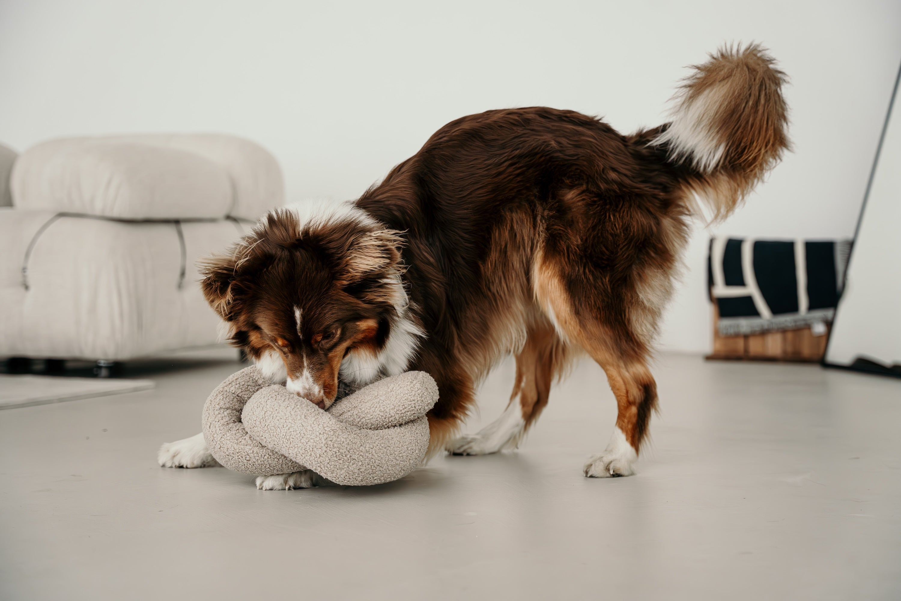 Lambwolf O NOU Spielzeugschlange Hafer Spielzeug für Hunde Alleinebleiben