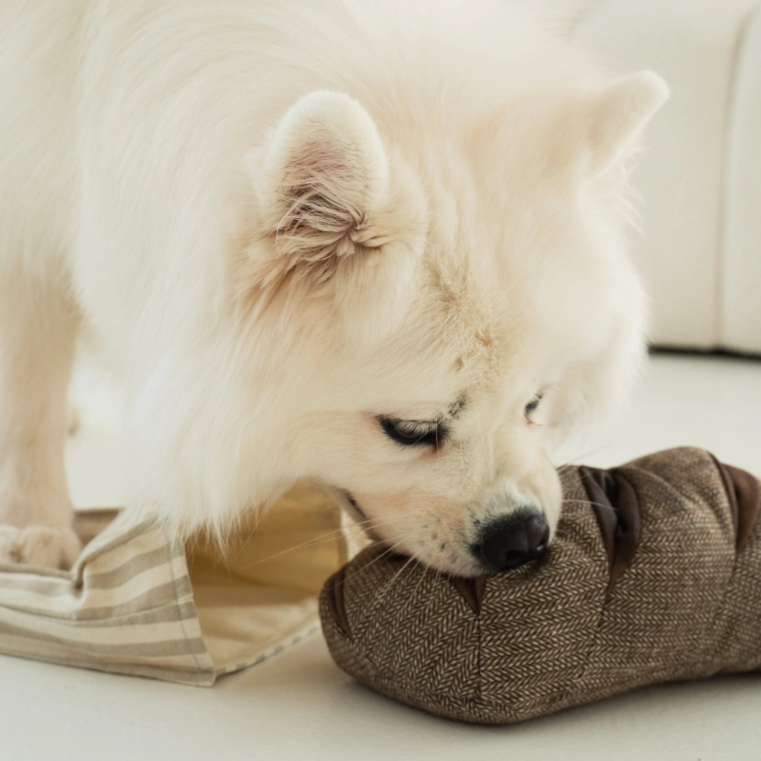 Lambwolf Roggenbrot Spielzeug für Hunde Beschäftigung