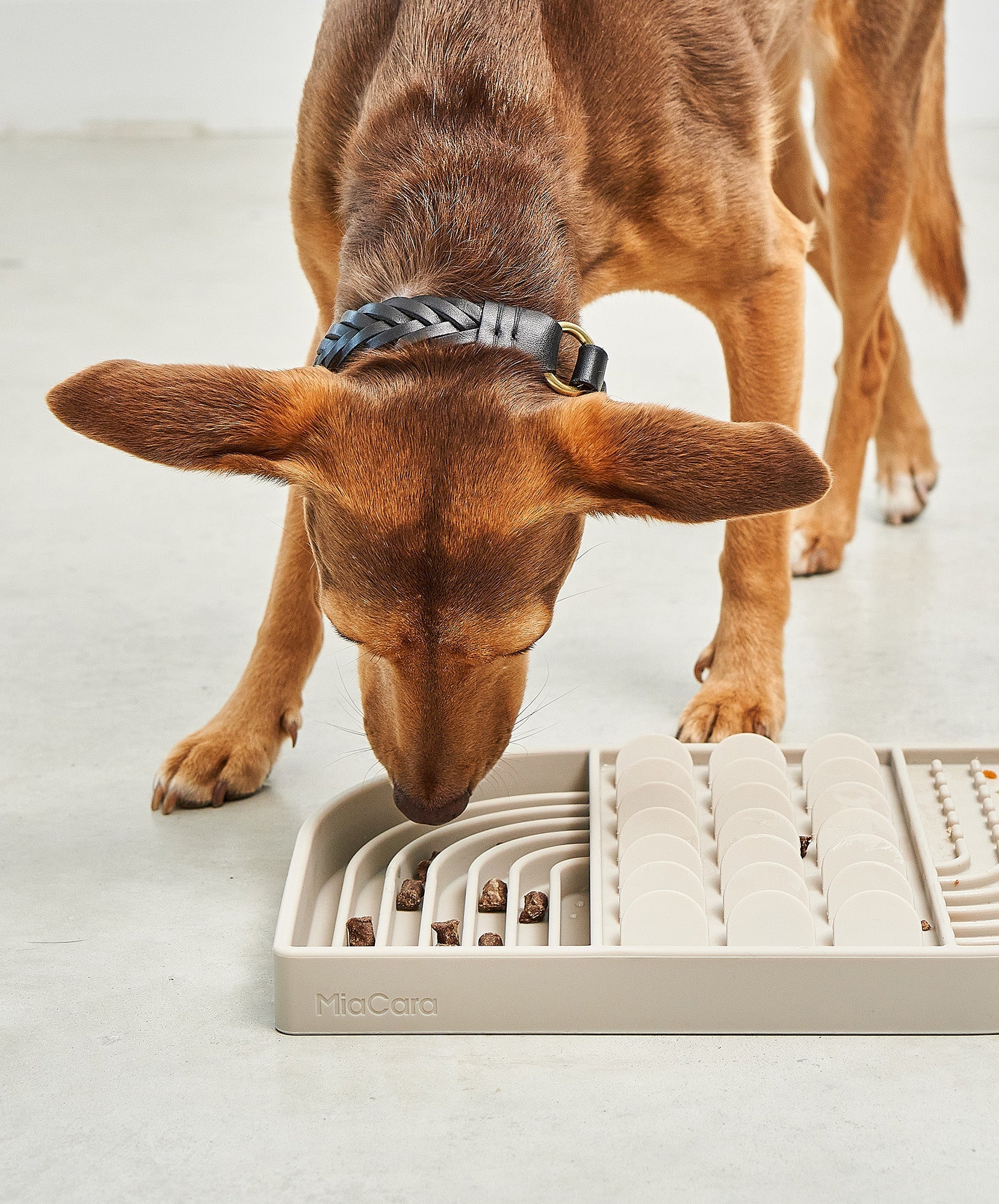 MiaCara Aperitivo Beschäftigungsspielzeug Greige Schleckspielzeug Hund
