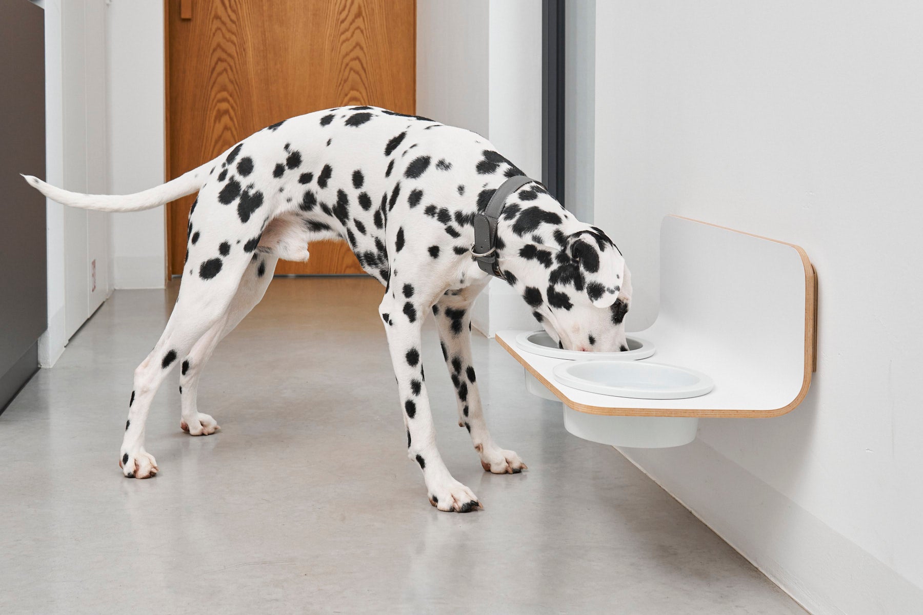 MiaCara Arco Napfhalter Holz Laminat Weiss Porzellan Napfwandhalterung weiß