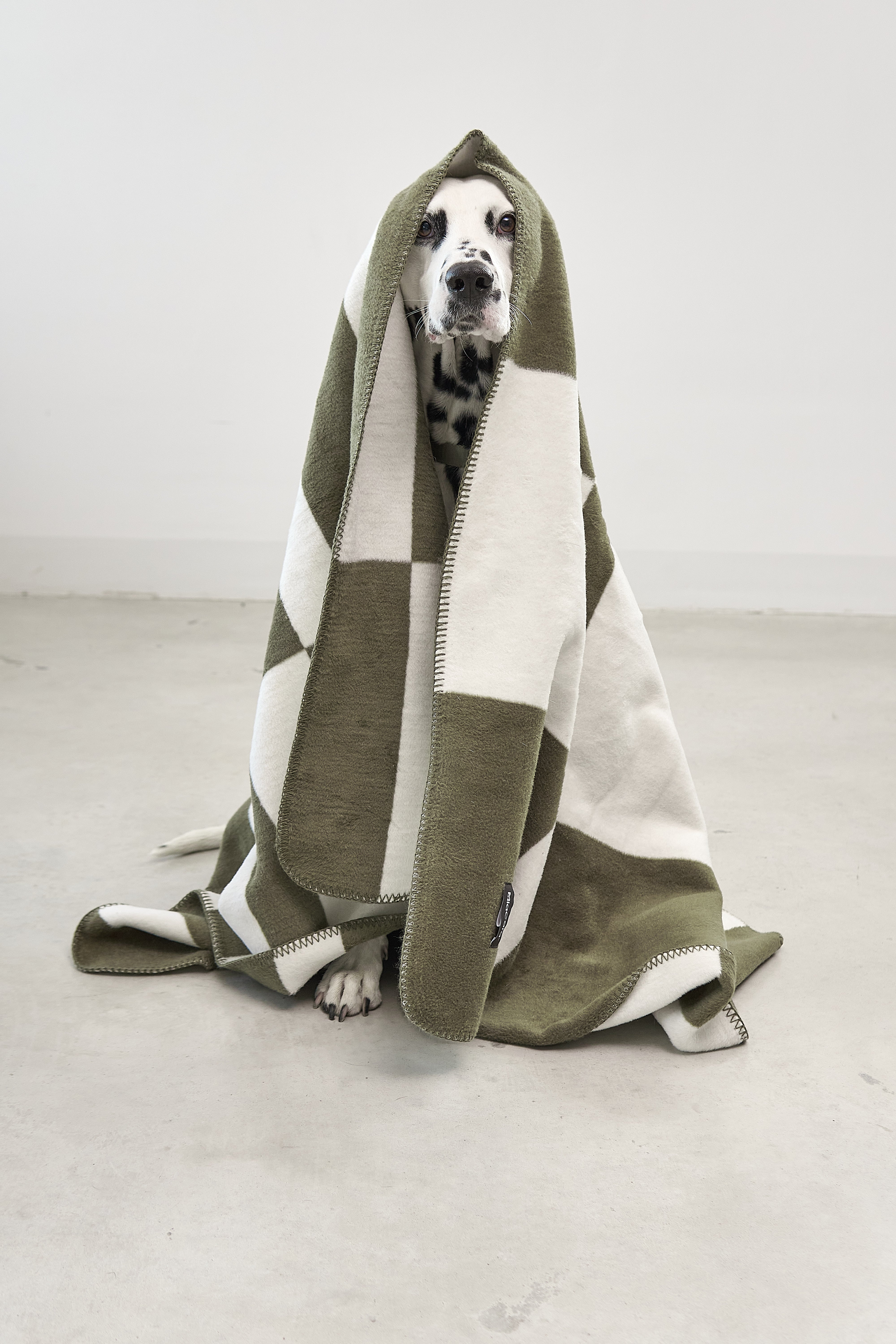 MiaCara Blocco Hundedecke Grolive Hundedecke Baumwolle waschbar weich