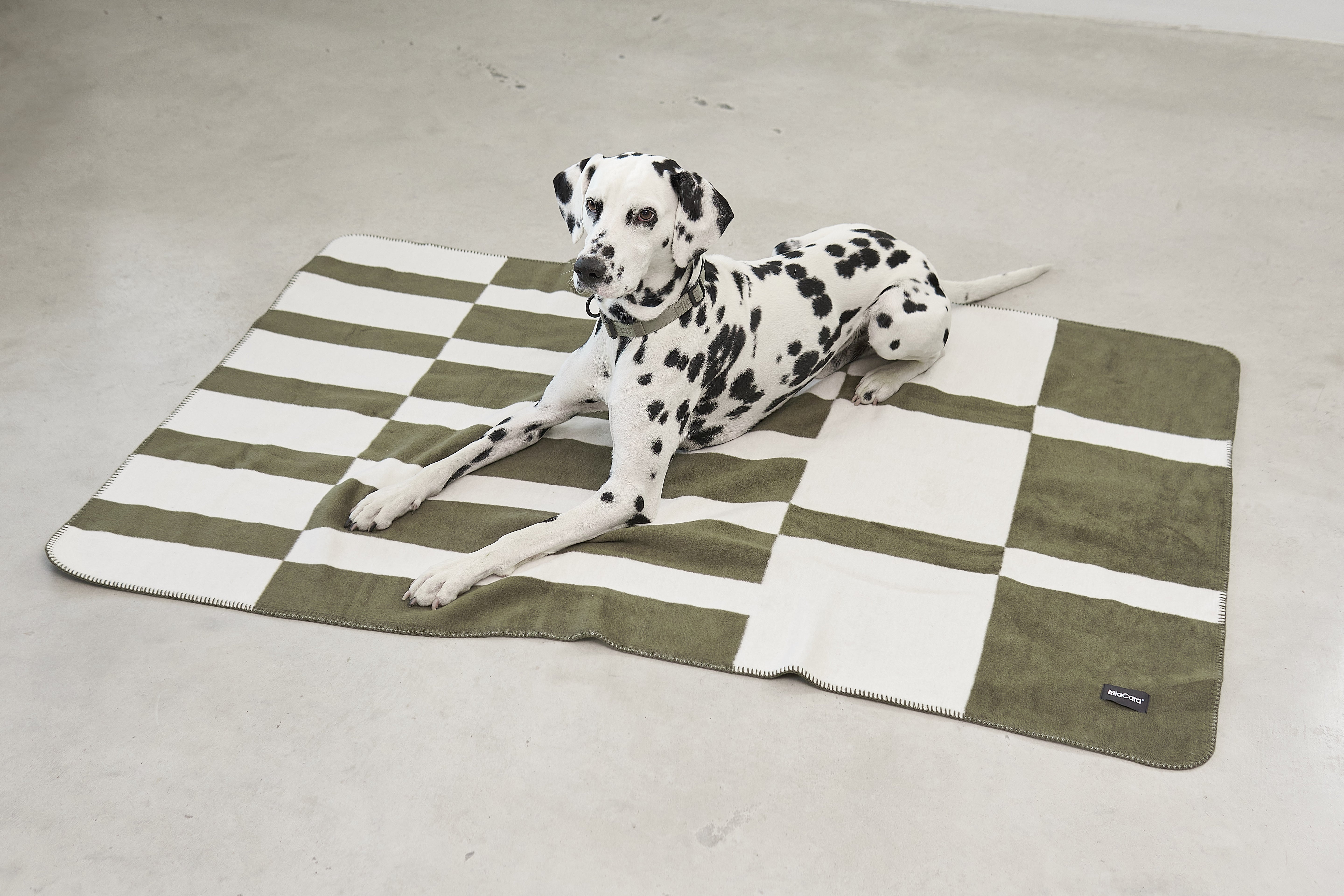 MiaCara Blocco Hundedecke Grolive Hudnedecke Decke für Hunde weich waschbar pflegeleicht Baumwolle