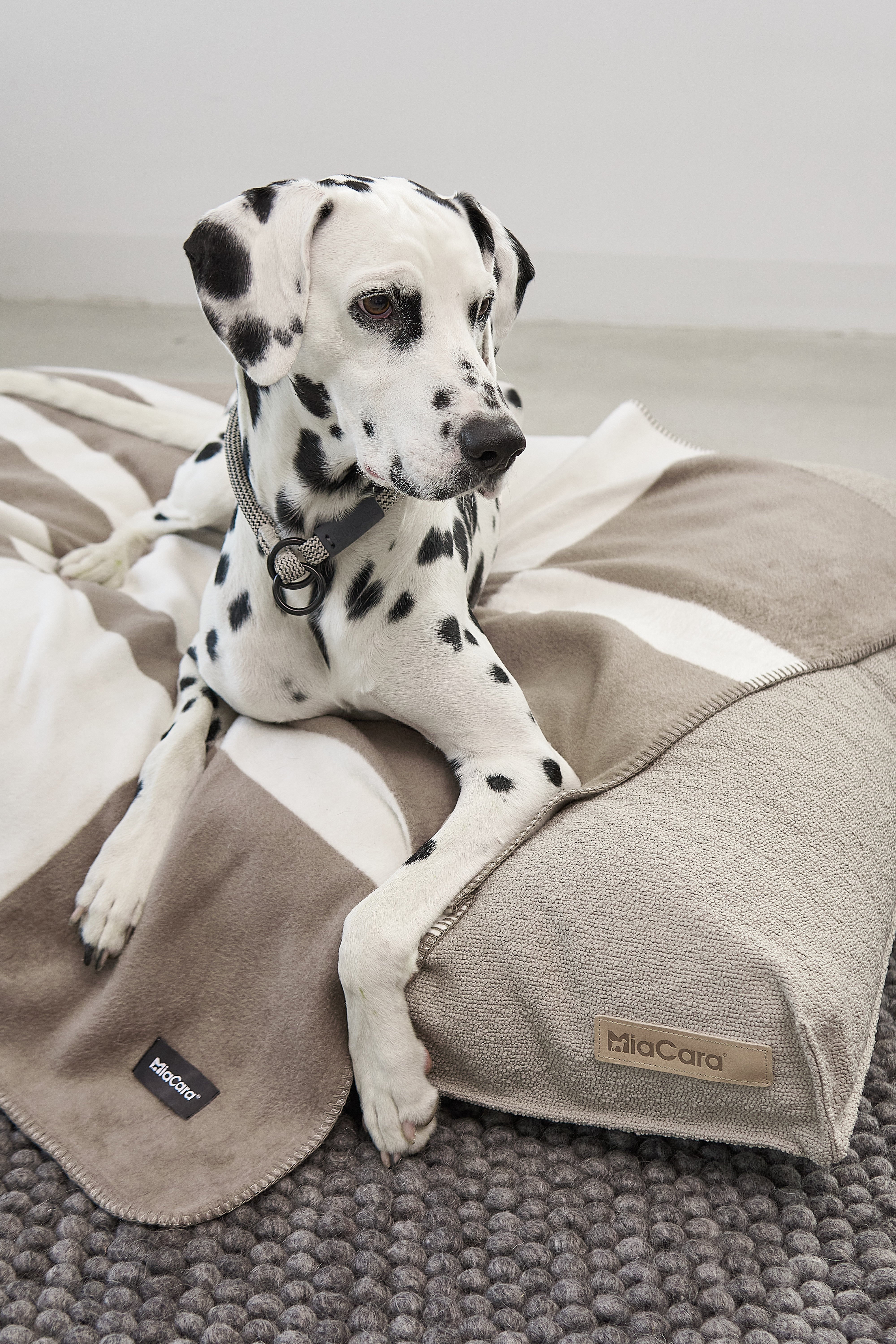 MiaCara Blocco Hundedecke Taupe Decke für Hunde waschmaschinengeeignet Baumwolle