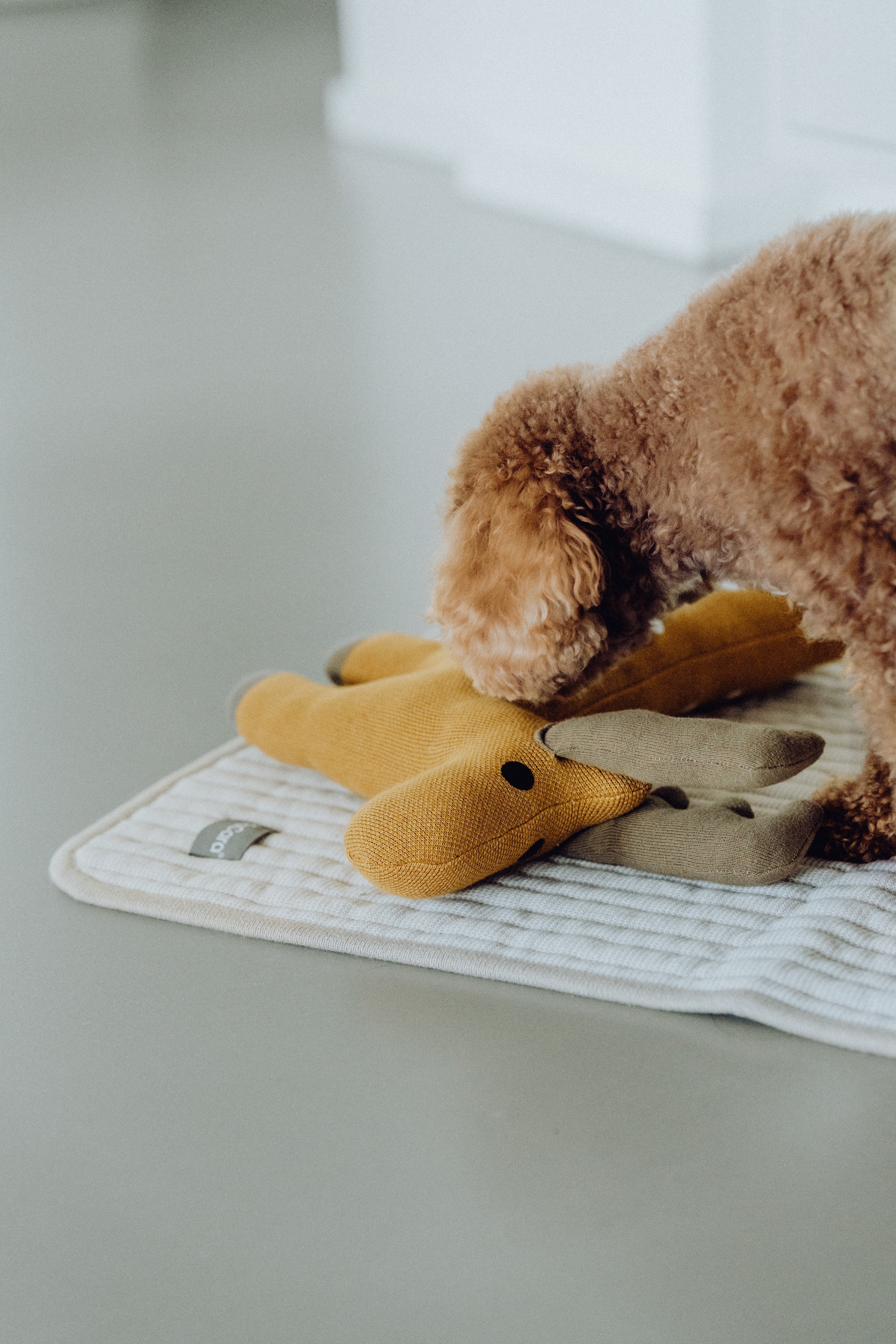 MiaCara Bosco Hundespielzeug Reh Ocker Hundespielzeug Welpen unkaputtbar