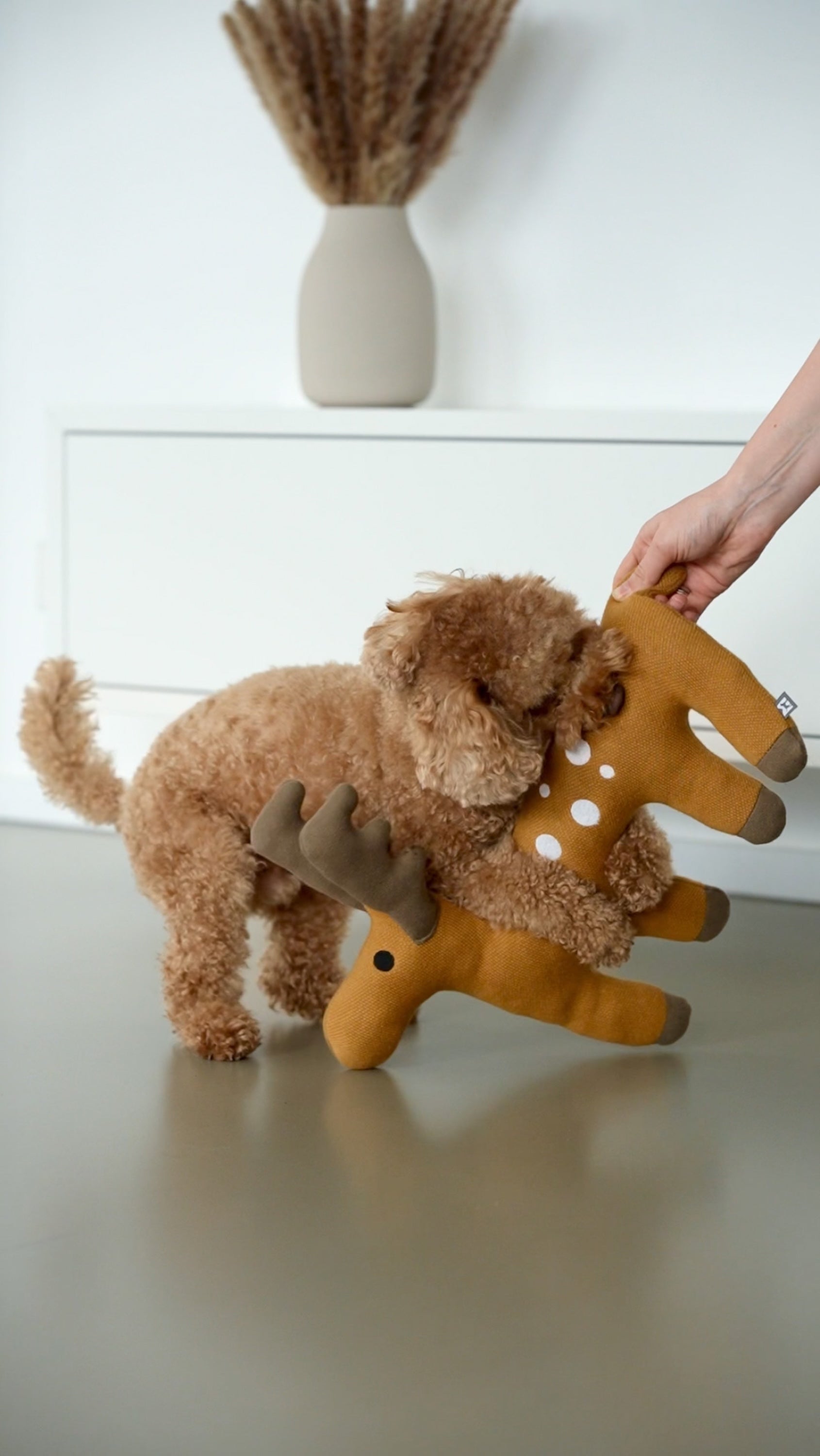 MiaCara Bosco Hundespielzeug Reh Ocker Spielzeug für Hunde Plüsch