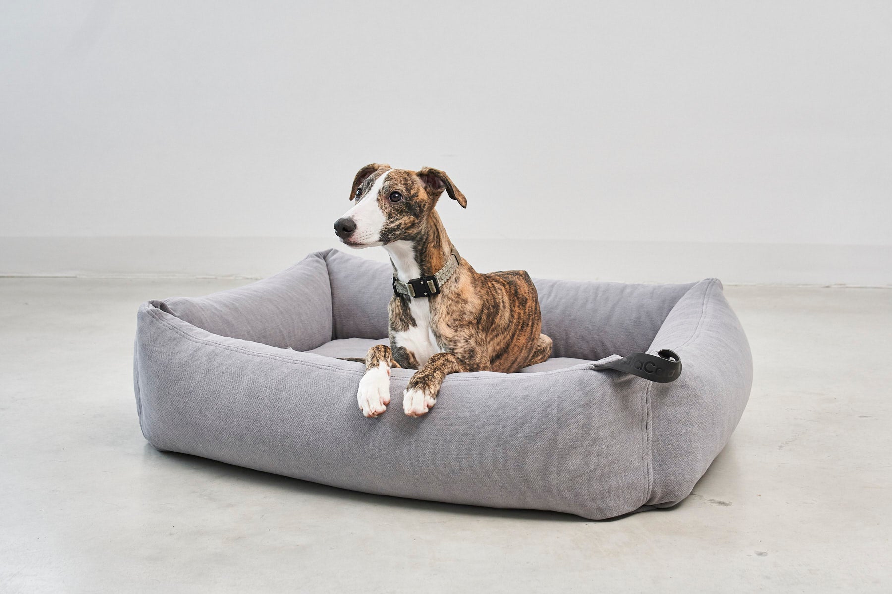 MiaCara Comodo Hundebett Schiefer hochwertiges Hundebett