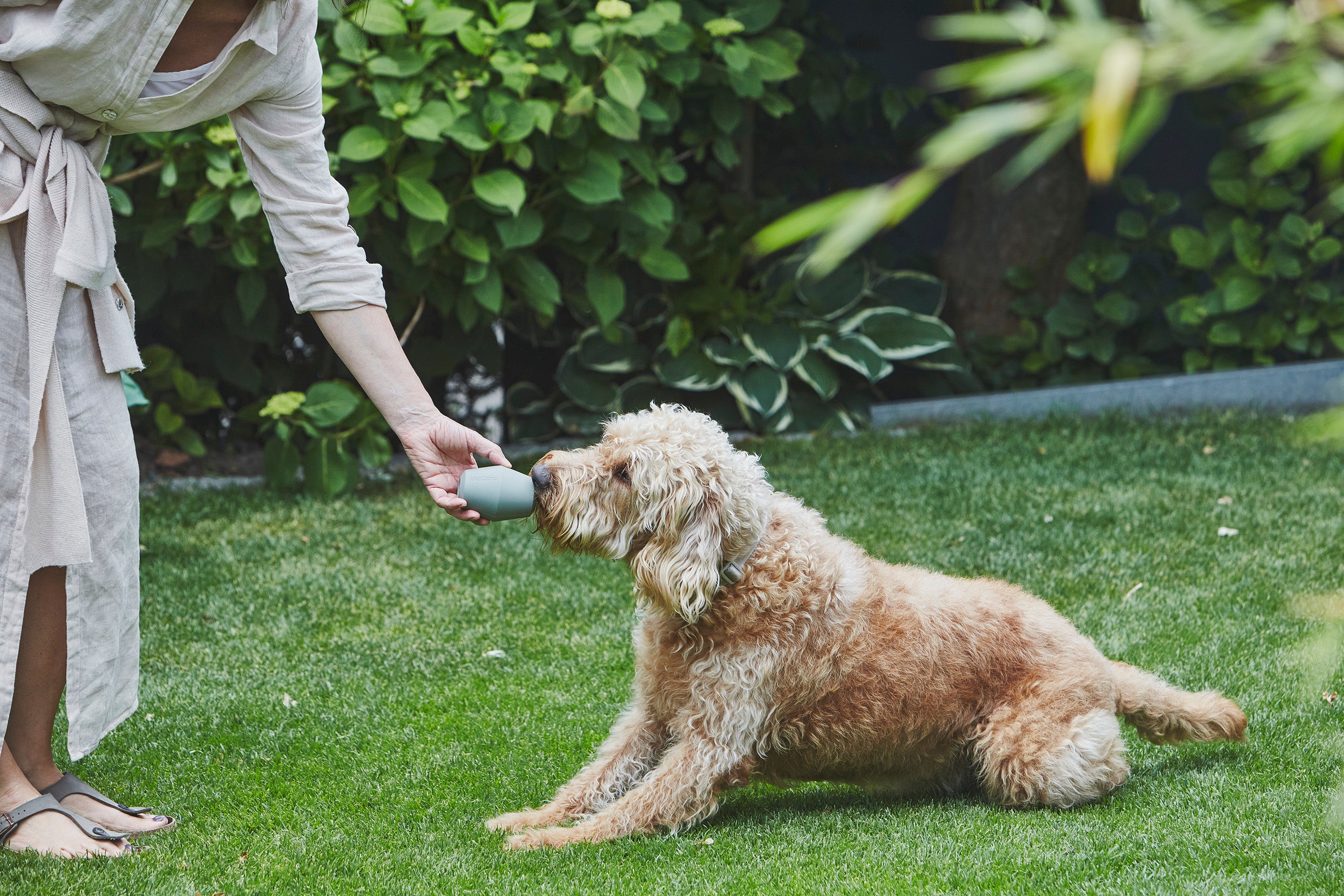 MiaCara Cono Beschäftigungsspielzeug Salbei Schleckmatte Hund
