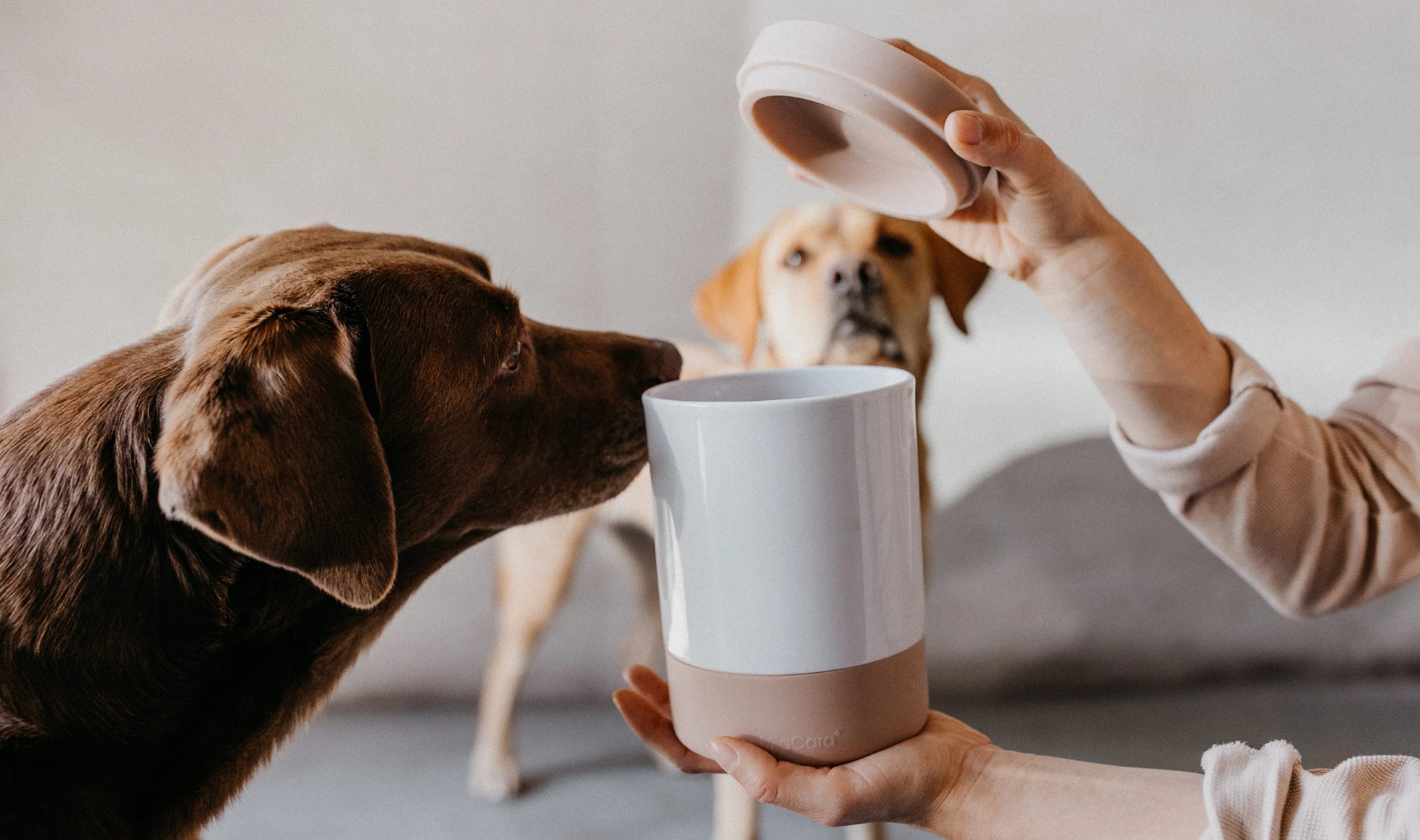 MiaCara Coppa Leckerlidose Greige moderne Leckerlidose für Hunde