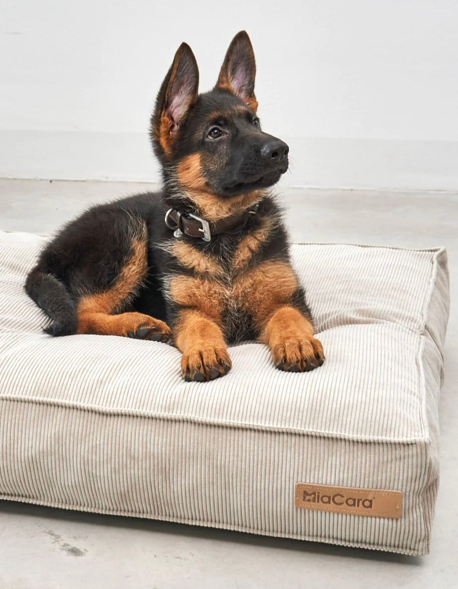 MiaCara Cordo Hundekissen Greige Cord Hundebett