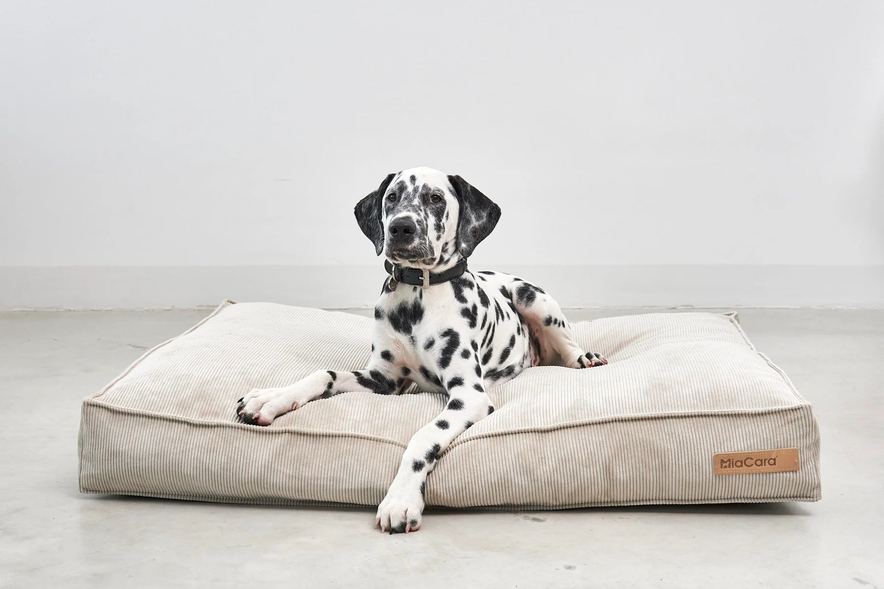 MiaCara Cordo Hundekissen Greige waschbares Cord Hundebett