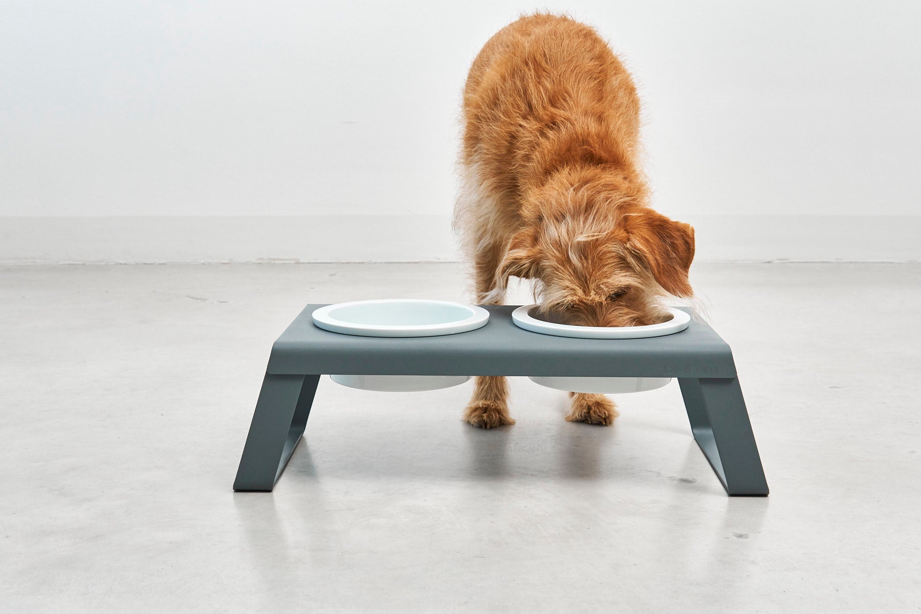 MiaCara Desco Napfstaender Alu Grau Porzellan Napfstaender mit Porzellannäpfen