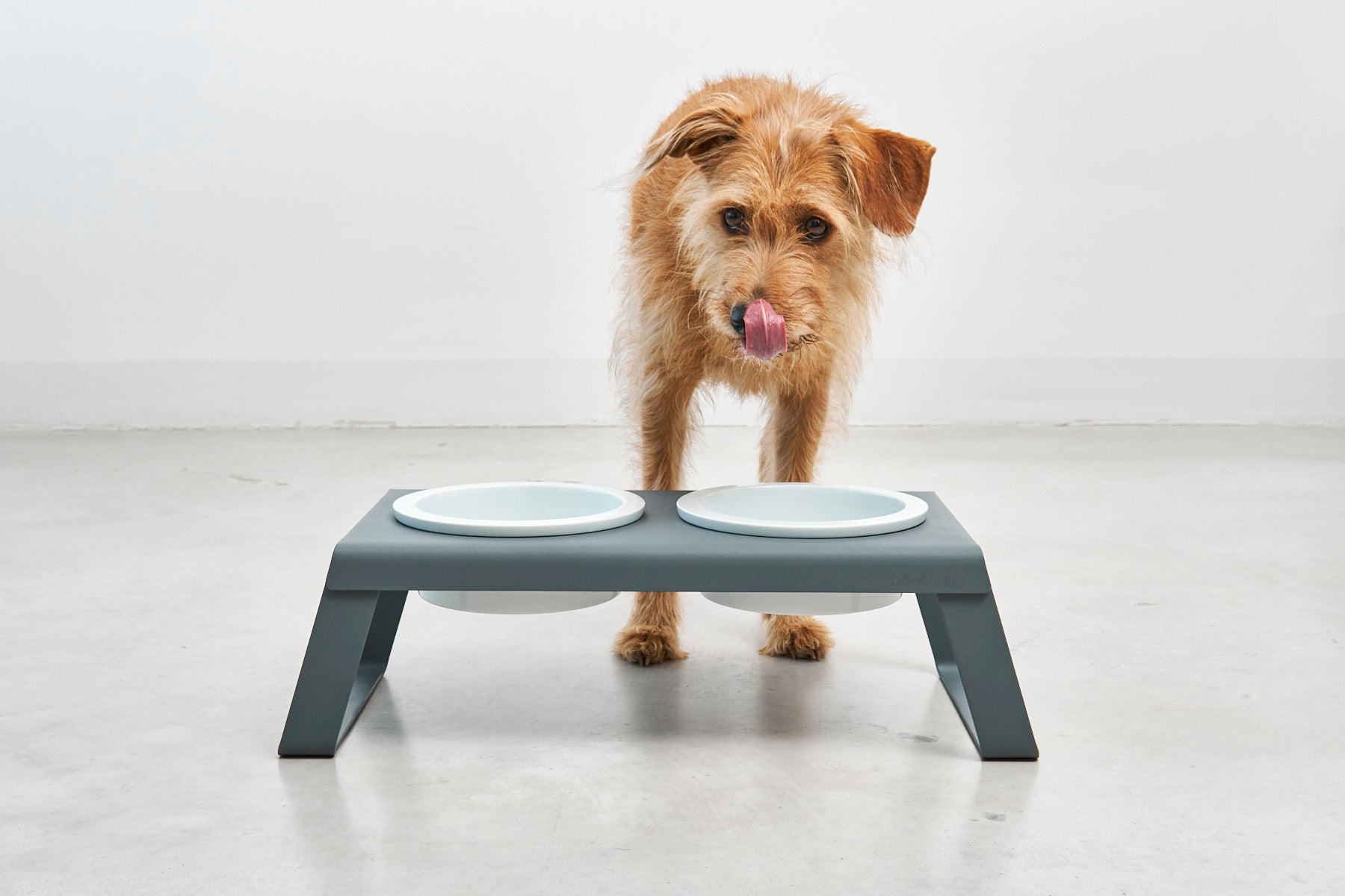 MiaCara Desco Napfstaender Alu Grau Porzellan Napfstaender mit hochwertigen Porzellannaepfen