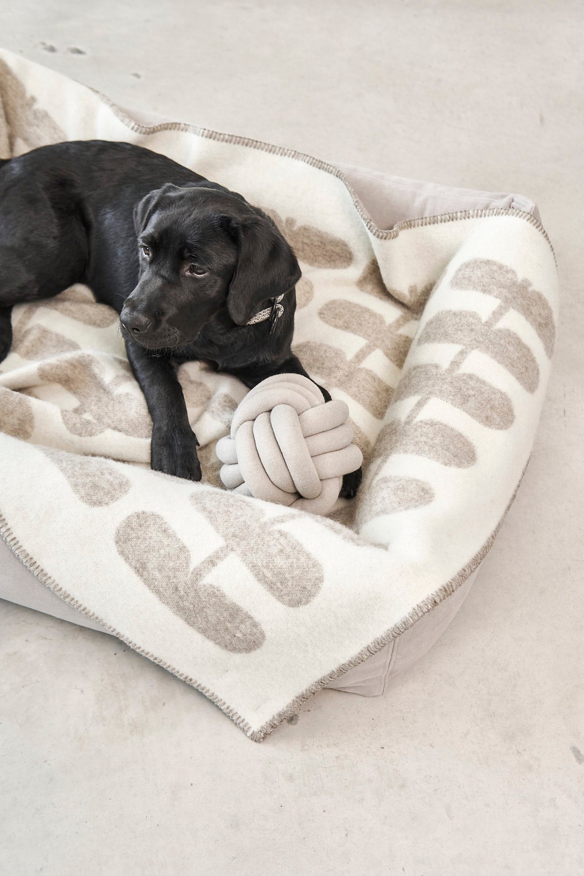 MiaCara Flora Hundedecke Cappuccino - Natur Decke für Hunde waschbar