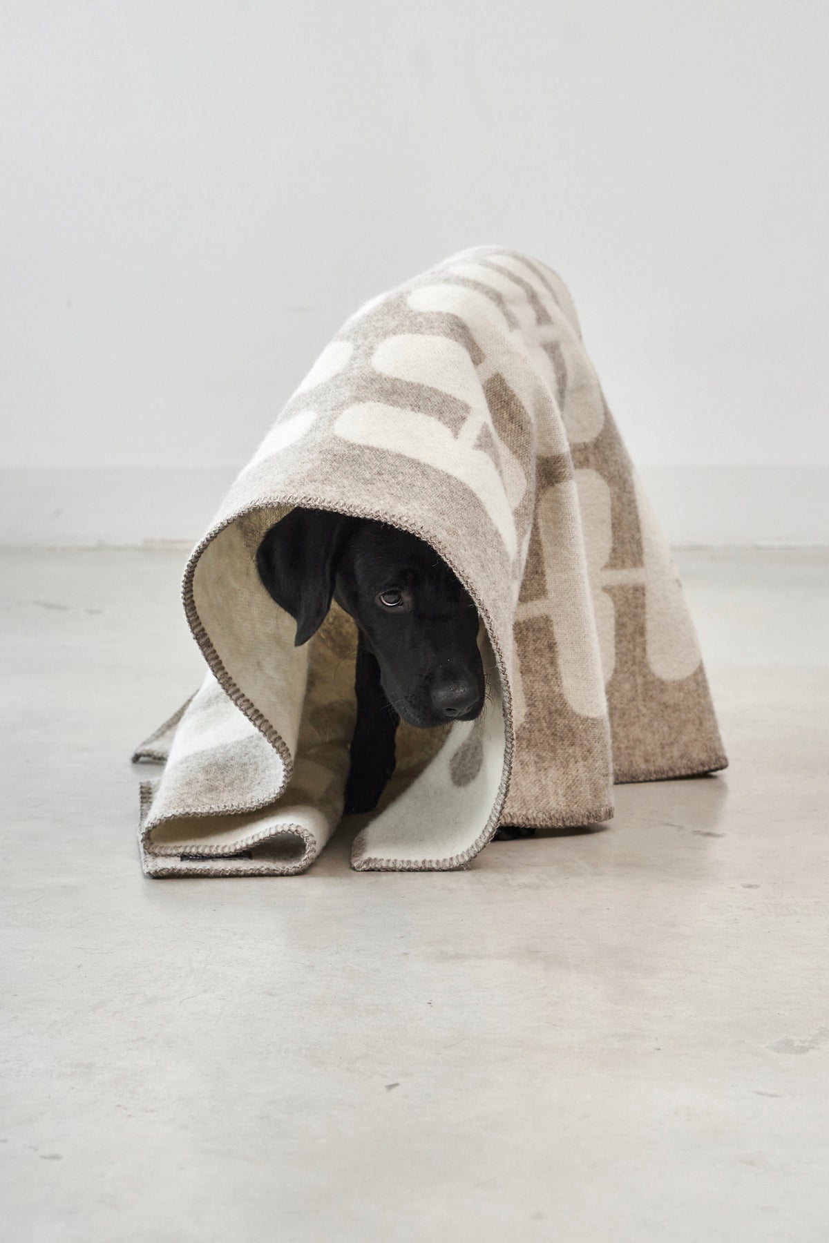 MiaCara Flora Hundedecke Cappuccino - Natur Hundedecke Wolle Decke für Hunde aus Wolle