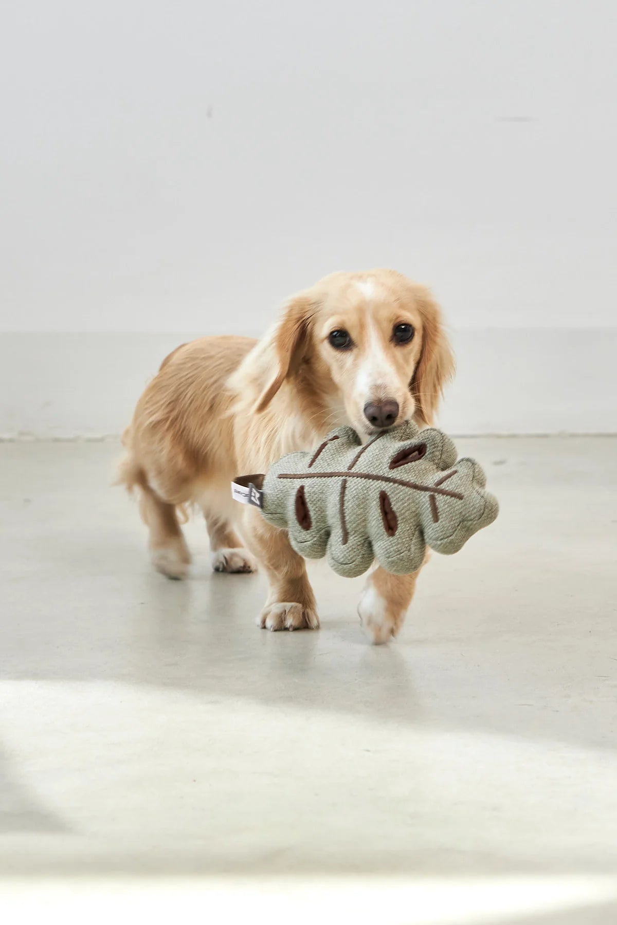 MiaCara Foresta Schnüffelspielzeug für Hunde Blatt Grün Hundespielzeug