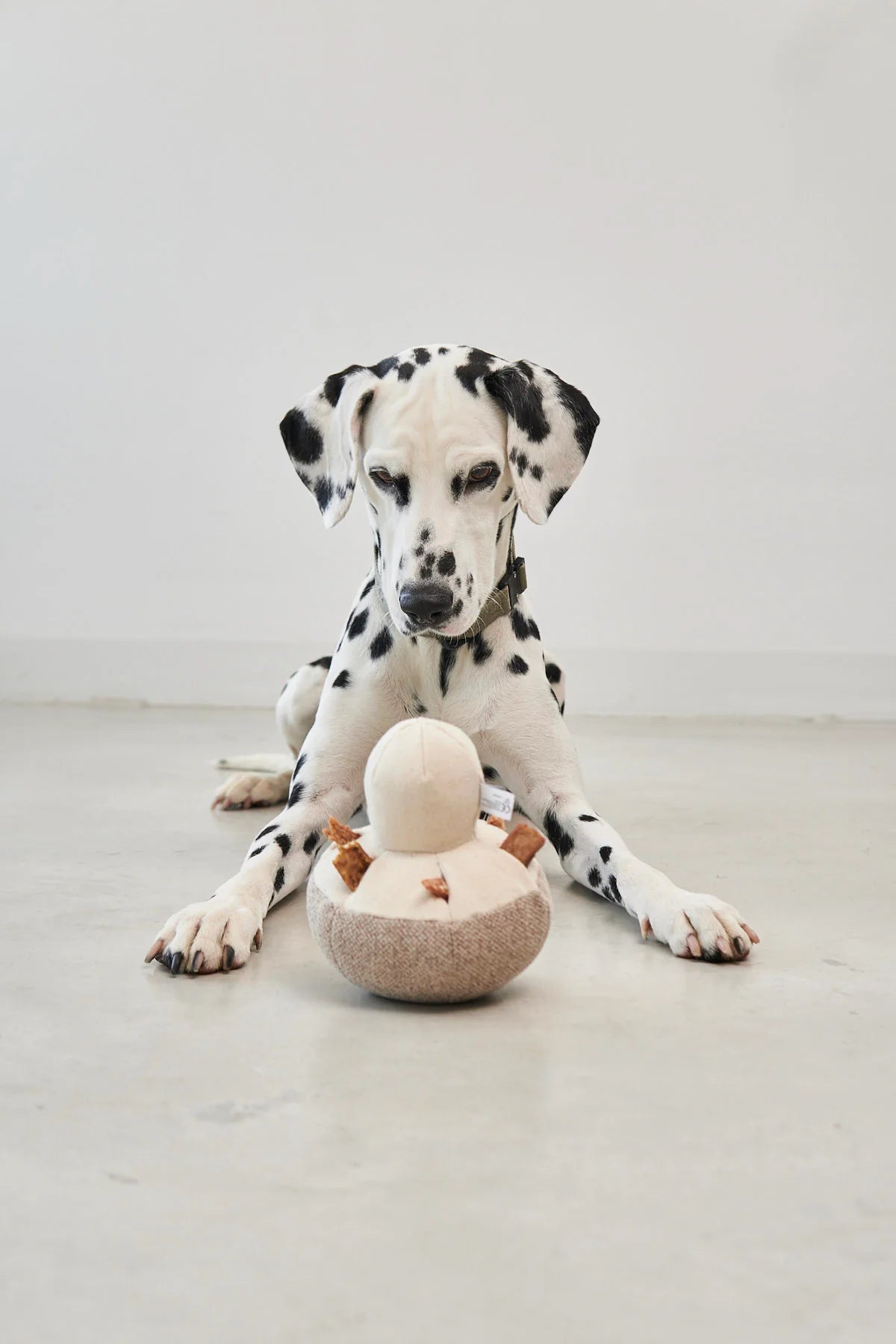 Foresta Schnüffelspielzeug für Hunde Schnüffelpilz Greige Spielzeug für Hunde