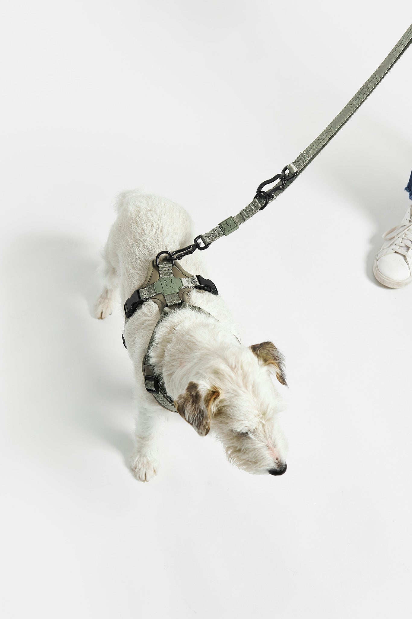 MiaCara Geschirr Modena Grolive zeitloses Hundegeschirr