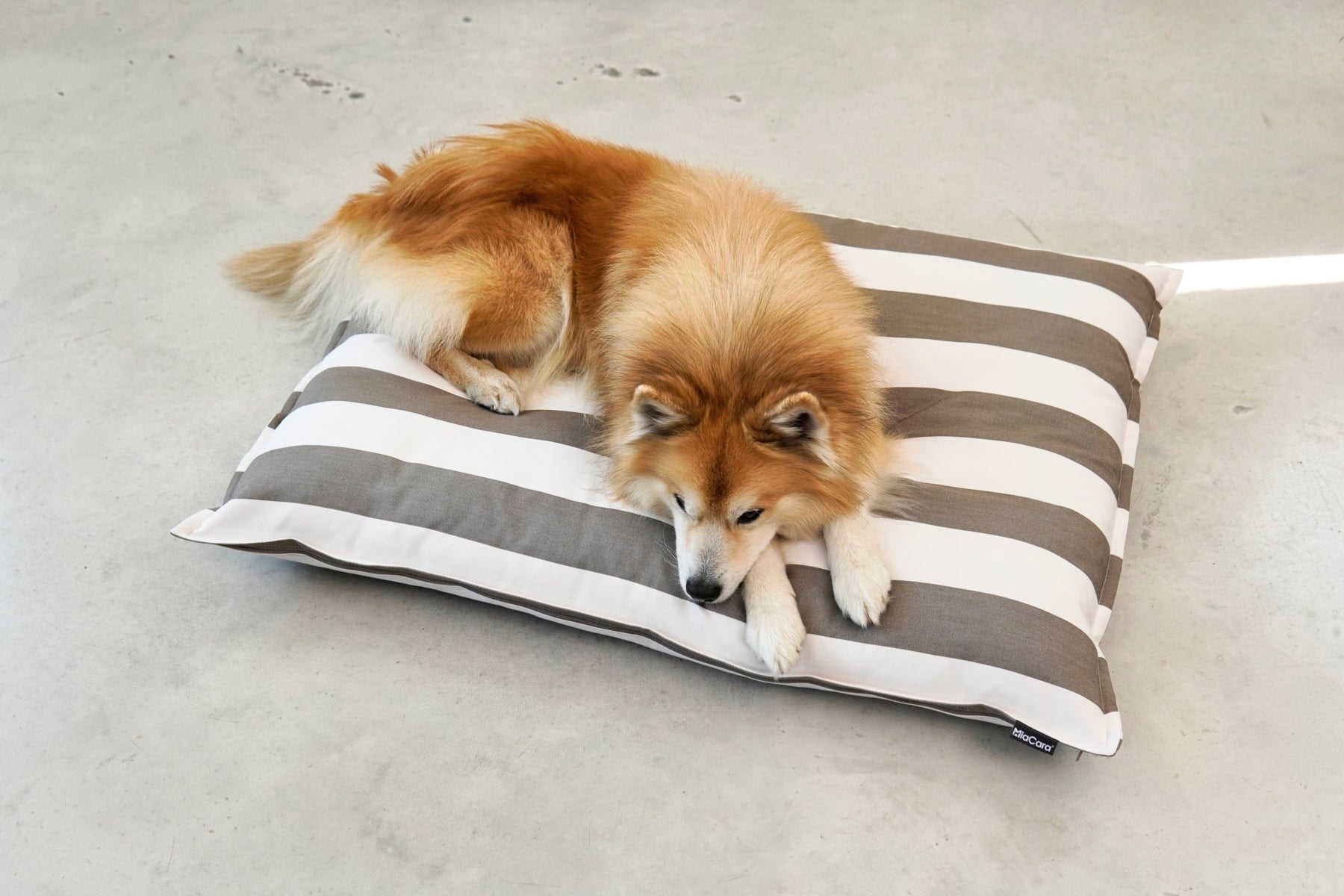 MiaCara Giardino Hundekissen Slim Outdoor Off-White/Taupe Hundekissen für draußen