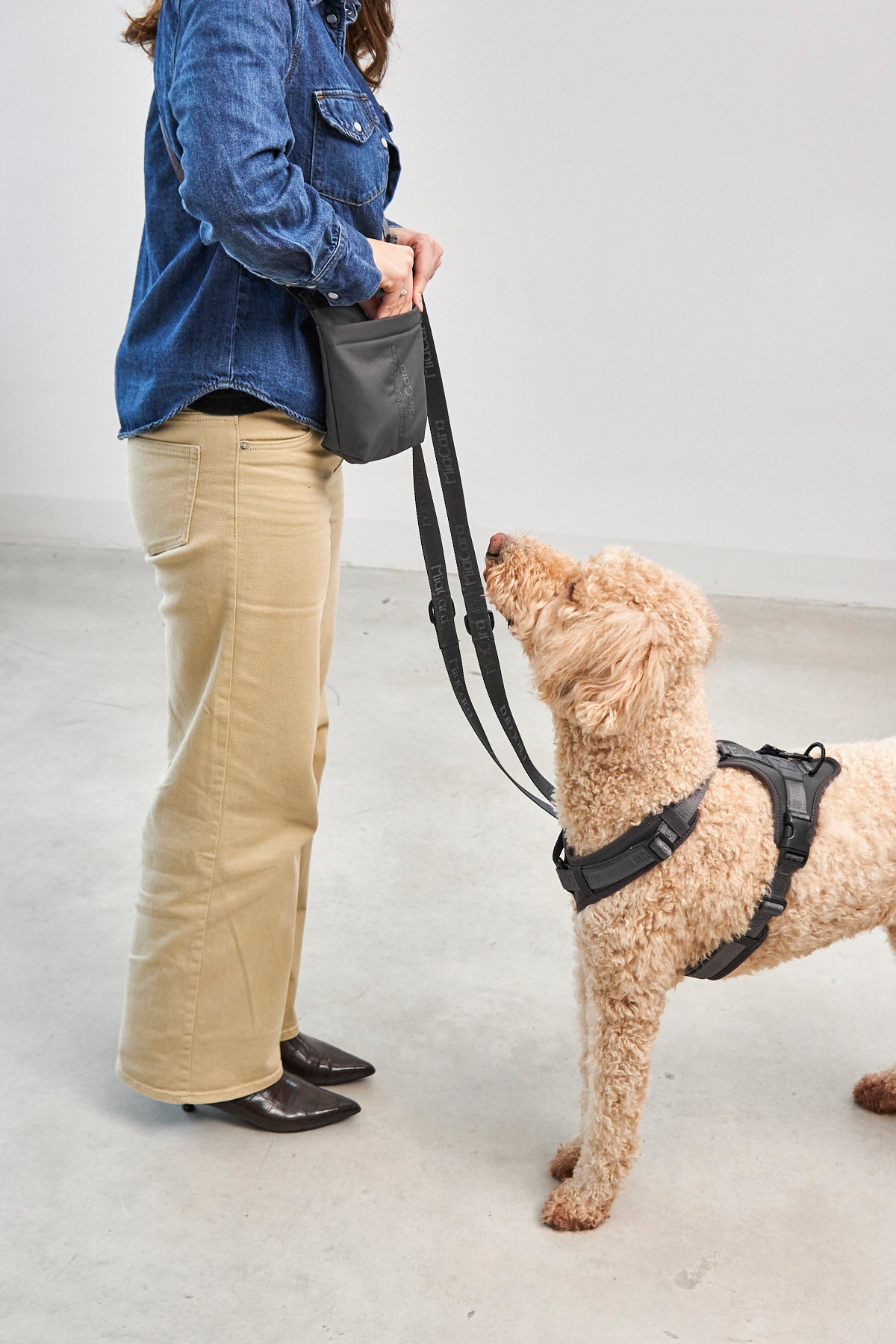 MiaCara Gusto 2.0 Leckerlibeutel Asphalt Hundeleckerlibeutel Leckerlitasche für unterwegs