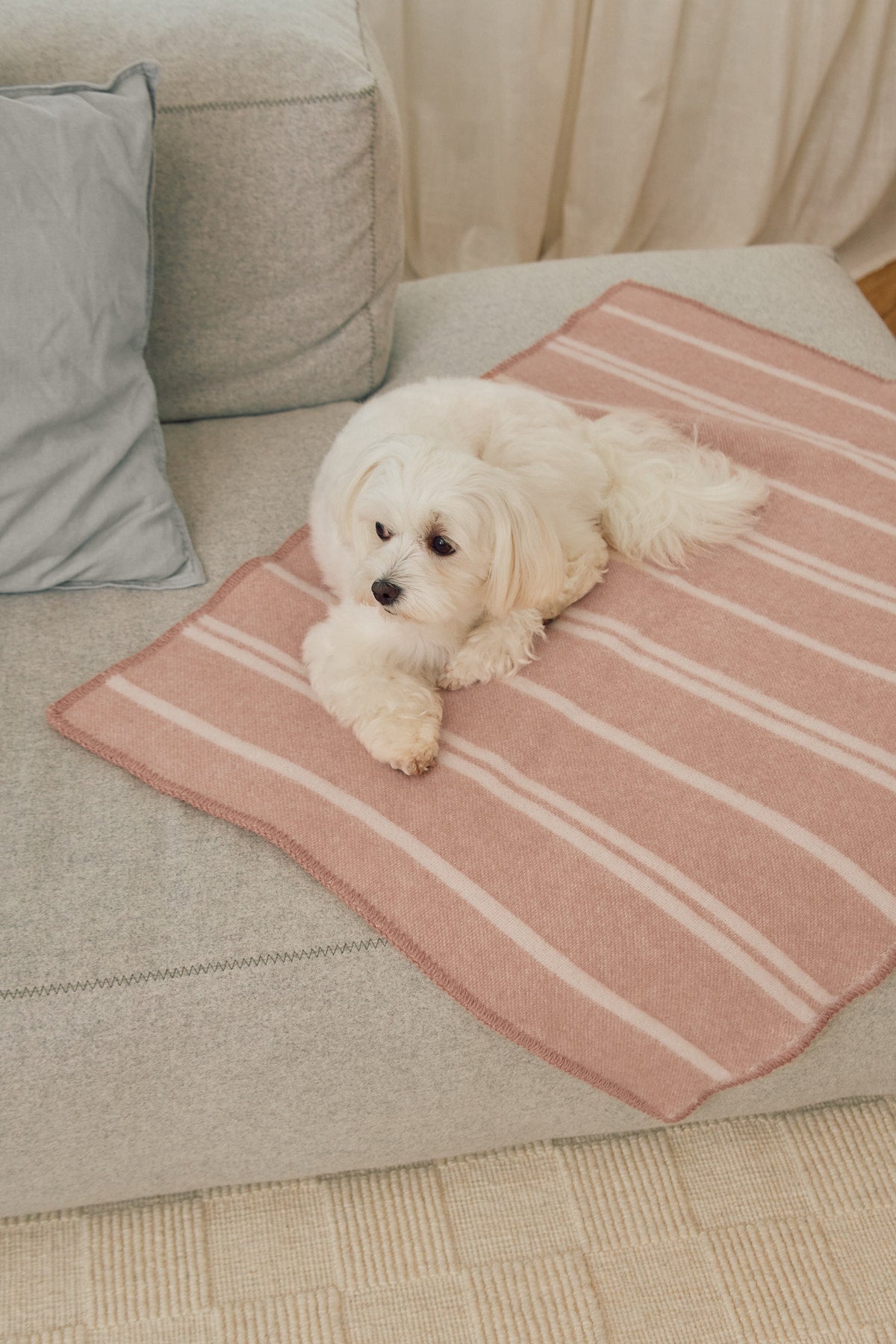 MiaCara Hundedecke Rigato Wolle Blush Creme Hundedecke Sofa