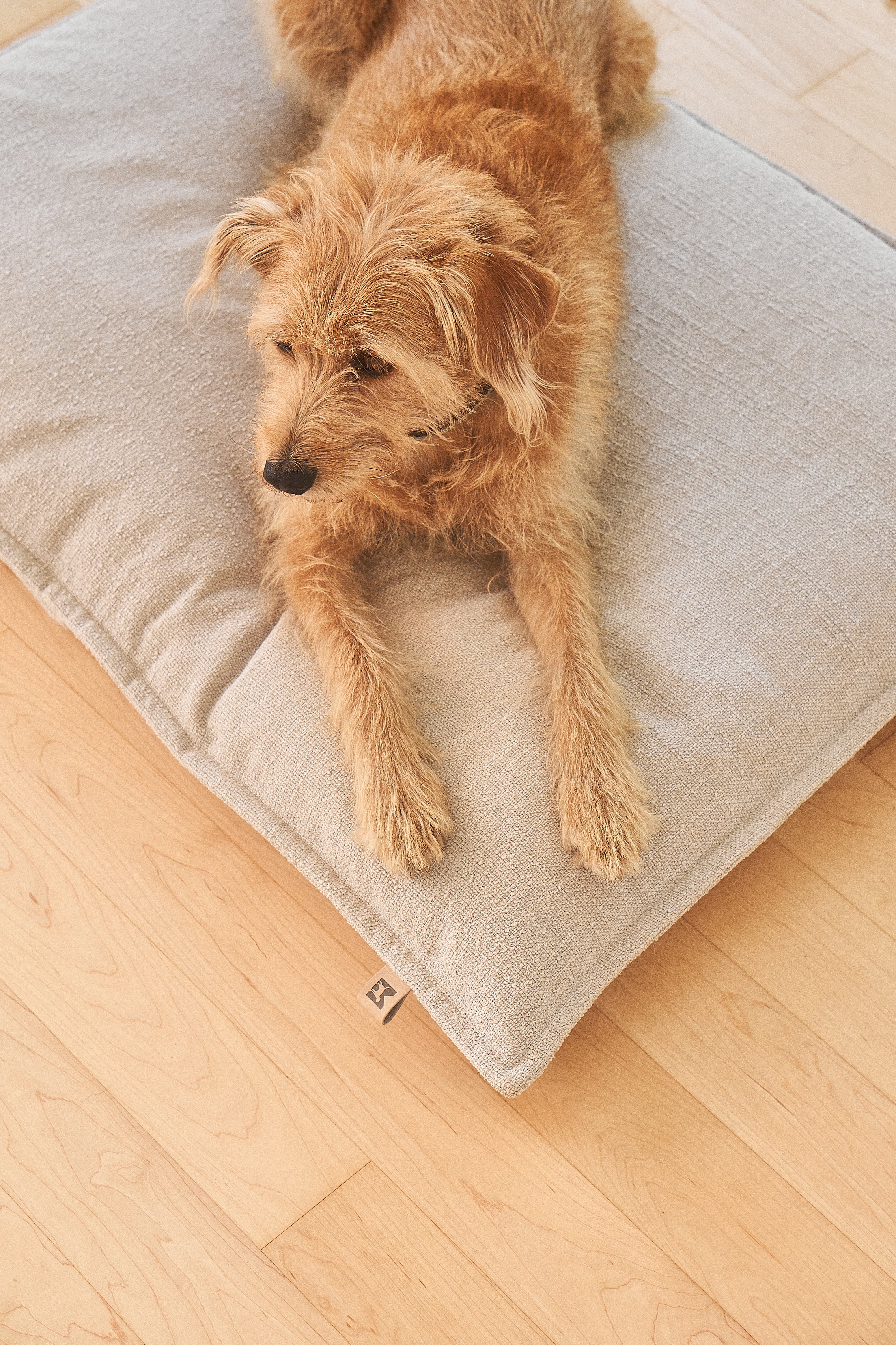 MiaCara Hundekissen Campo Greige Hundebett Bezug abnehmbar waschbar