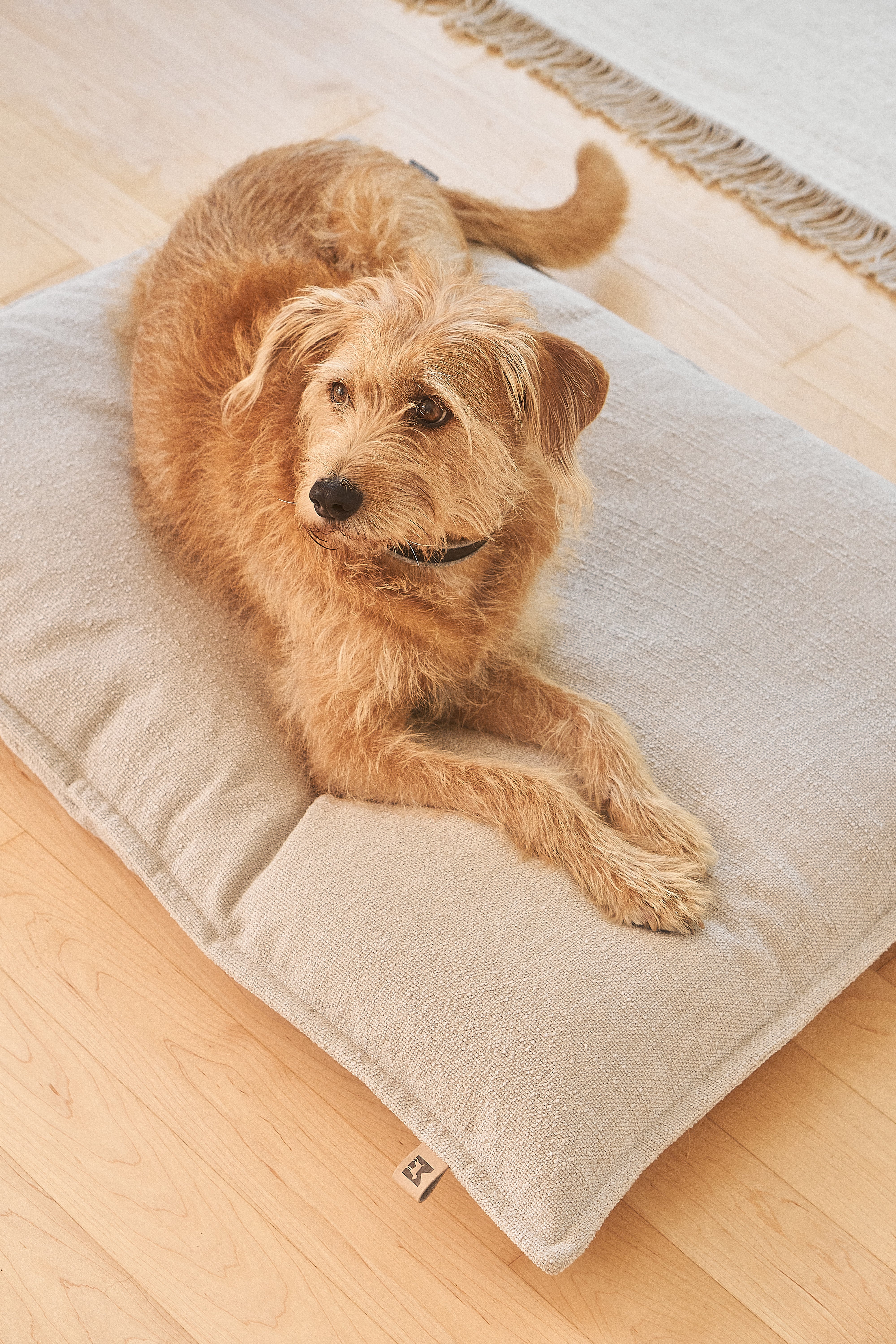 MiaCara Hundekissen Campo Greige Hundekissen mit abnehmbaren Bezug