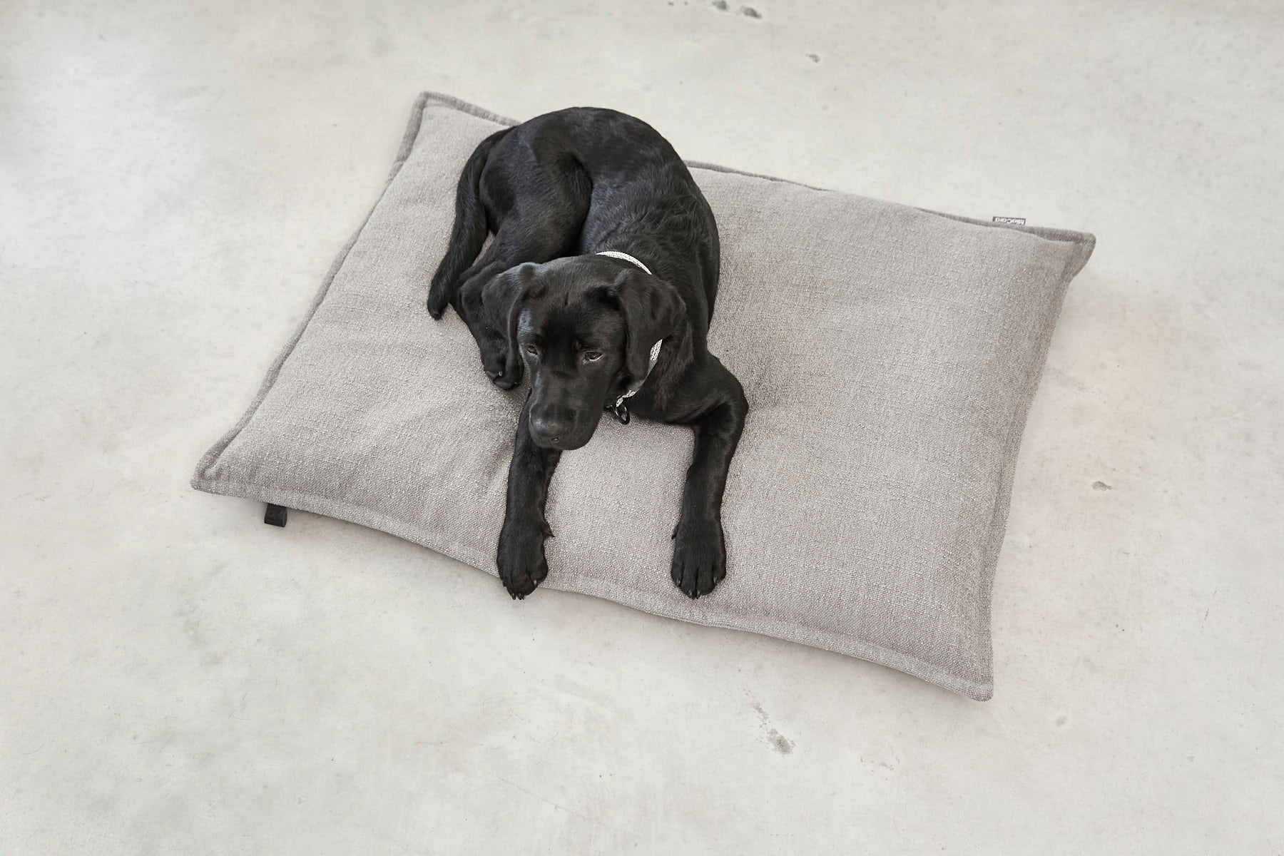 MiaCara Hundekissen Campo Kiesel Hundebett hypoallergen
