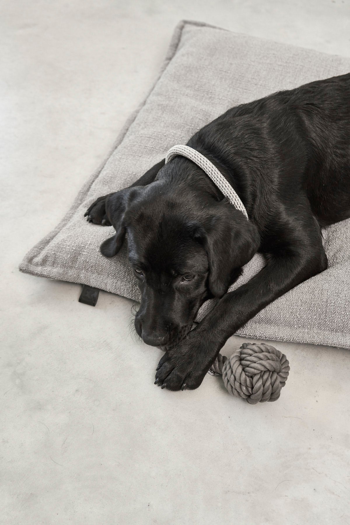 MiaCara Hundekissen Campo Kiesel Hundekissen Hundebett waschbar