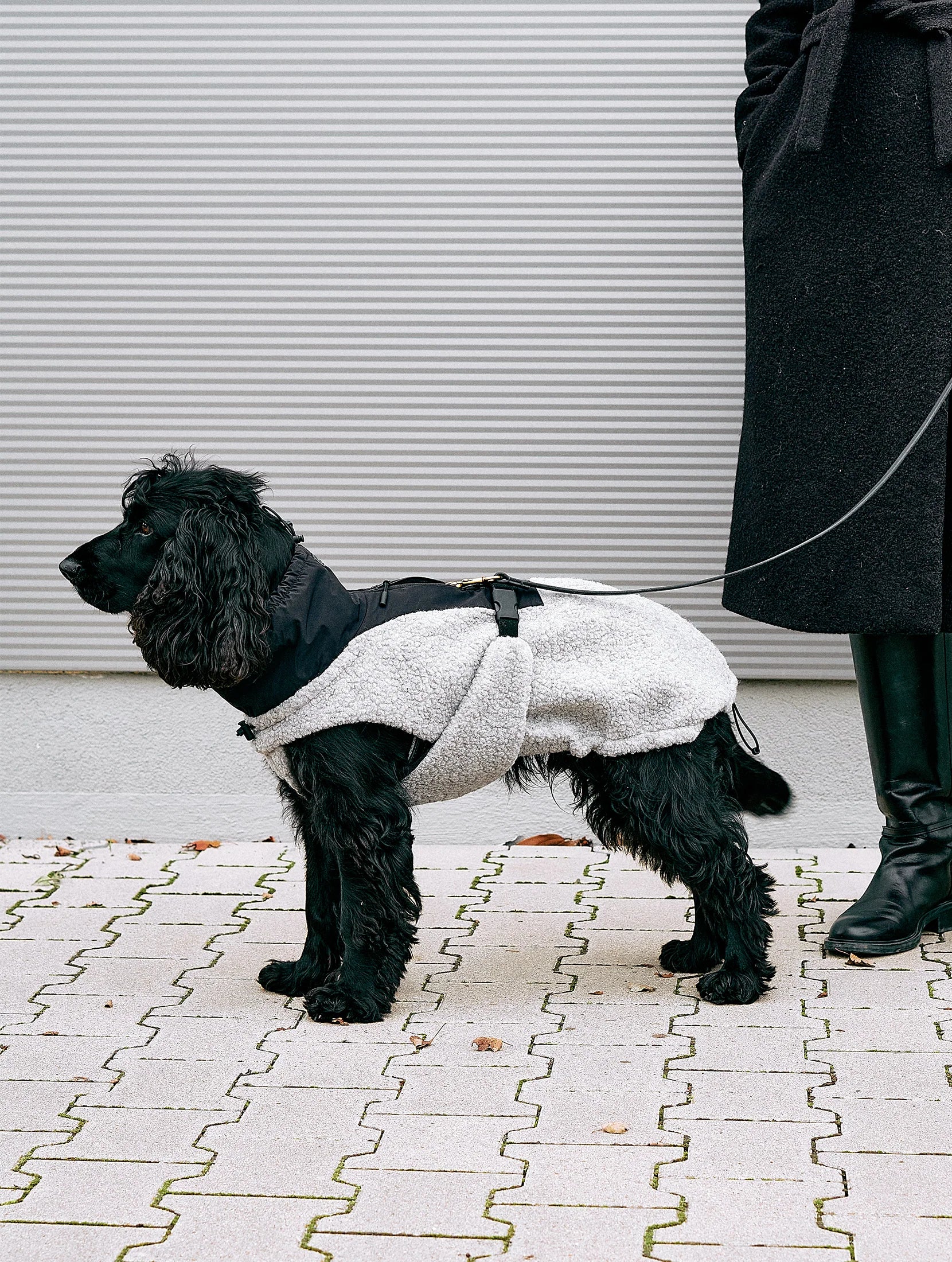 MiaCara Hundemantel Emilia Kiesel - Schwarz Wintermantel für Hunde