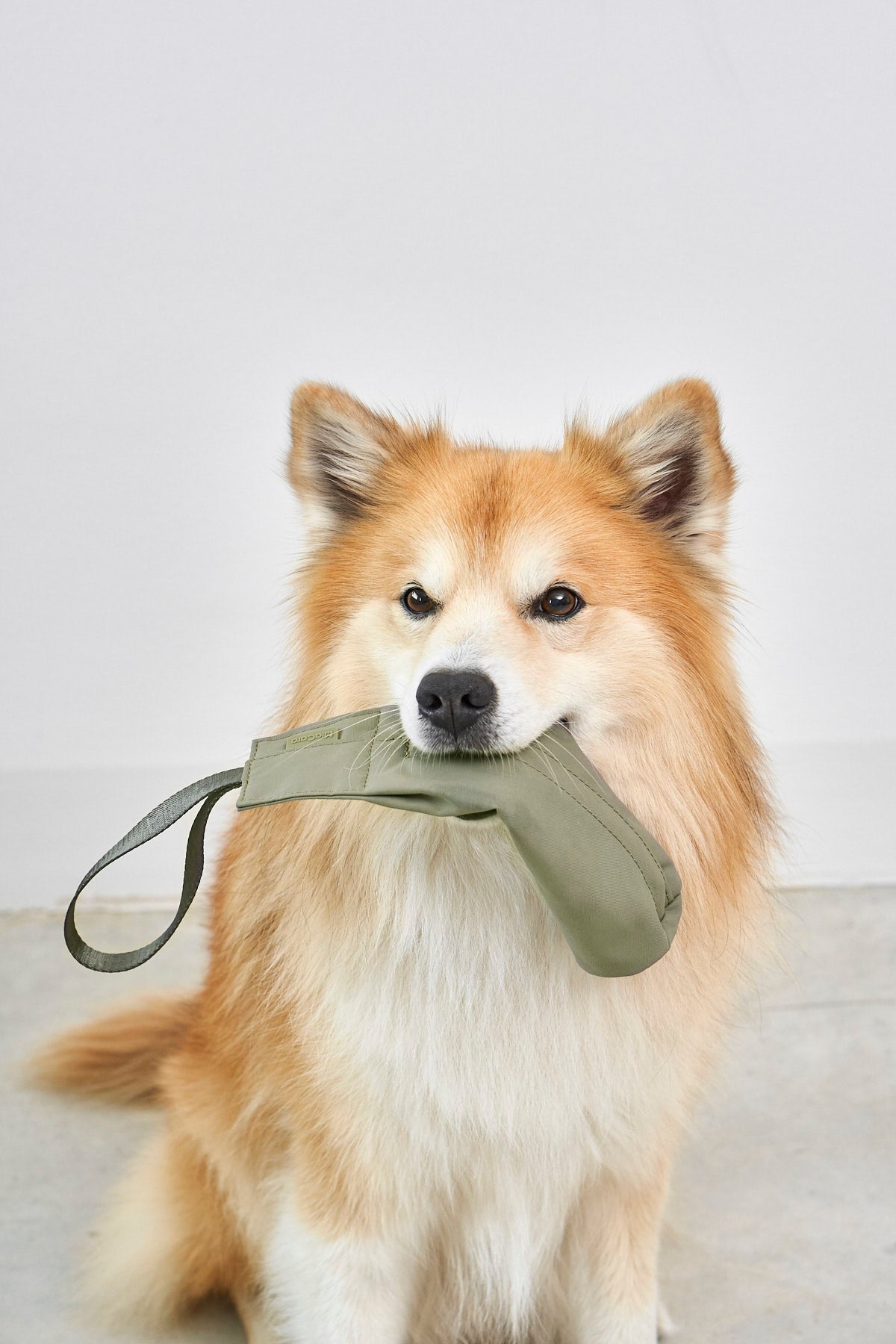MiaCara Lancio Futterdummy Grolive Hundespielzeug