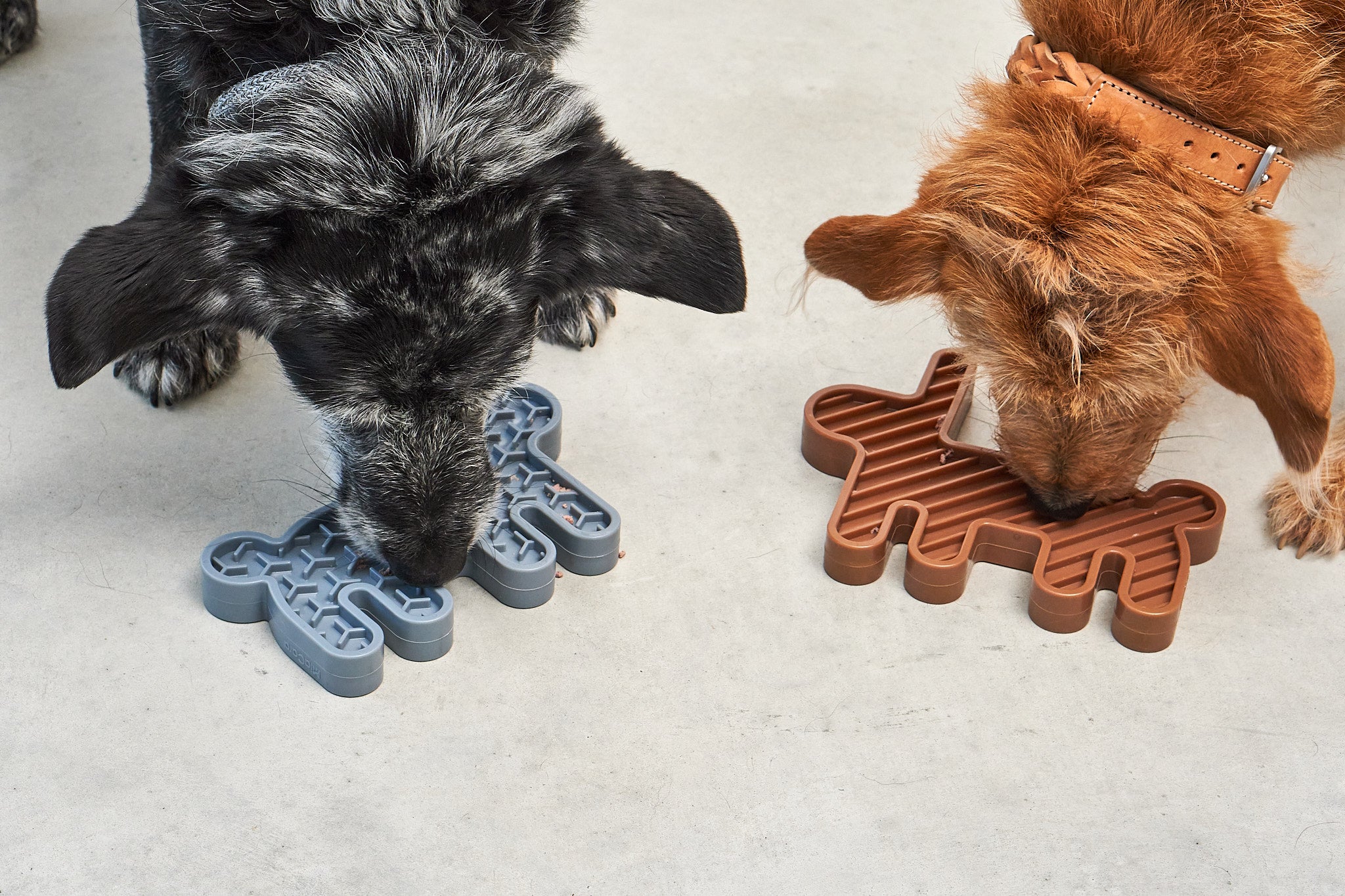 MiaCara Lepre Hundespielzeug Himmel Sandelholz Beschaeftigungsspielzeug fuer Hunde