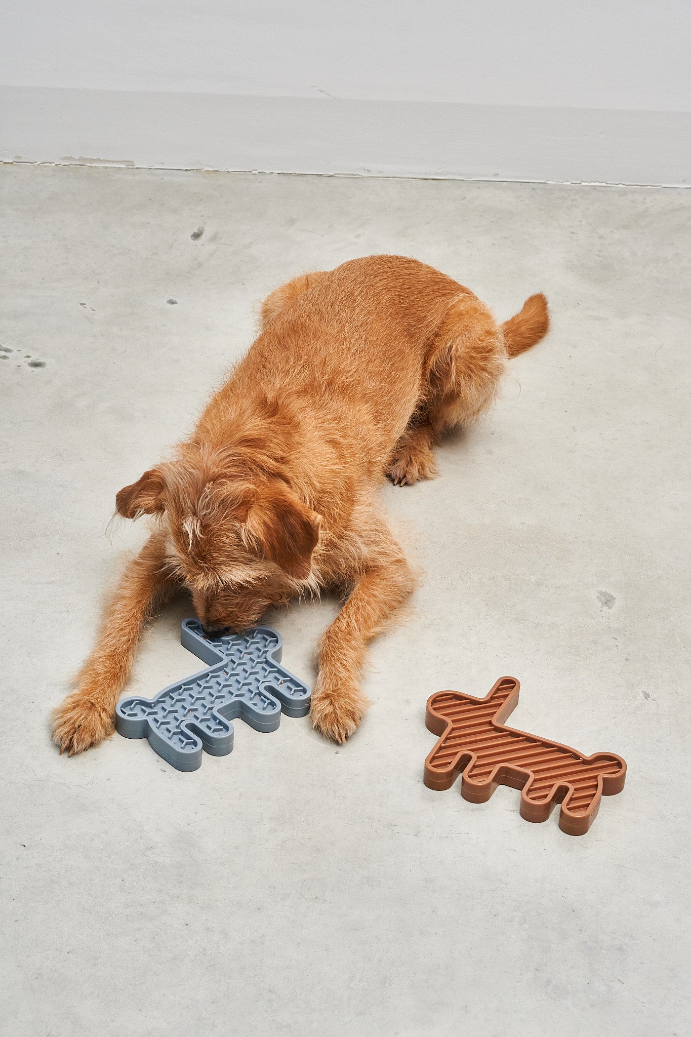 MiaCara Lepre Hundespielzeug Himmel Sandelholz Schleckspielzeug fuer Hunde