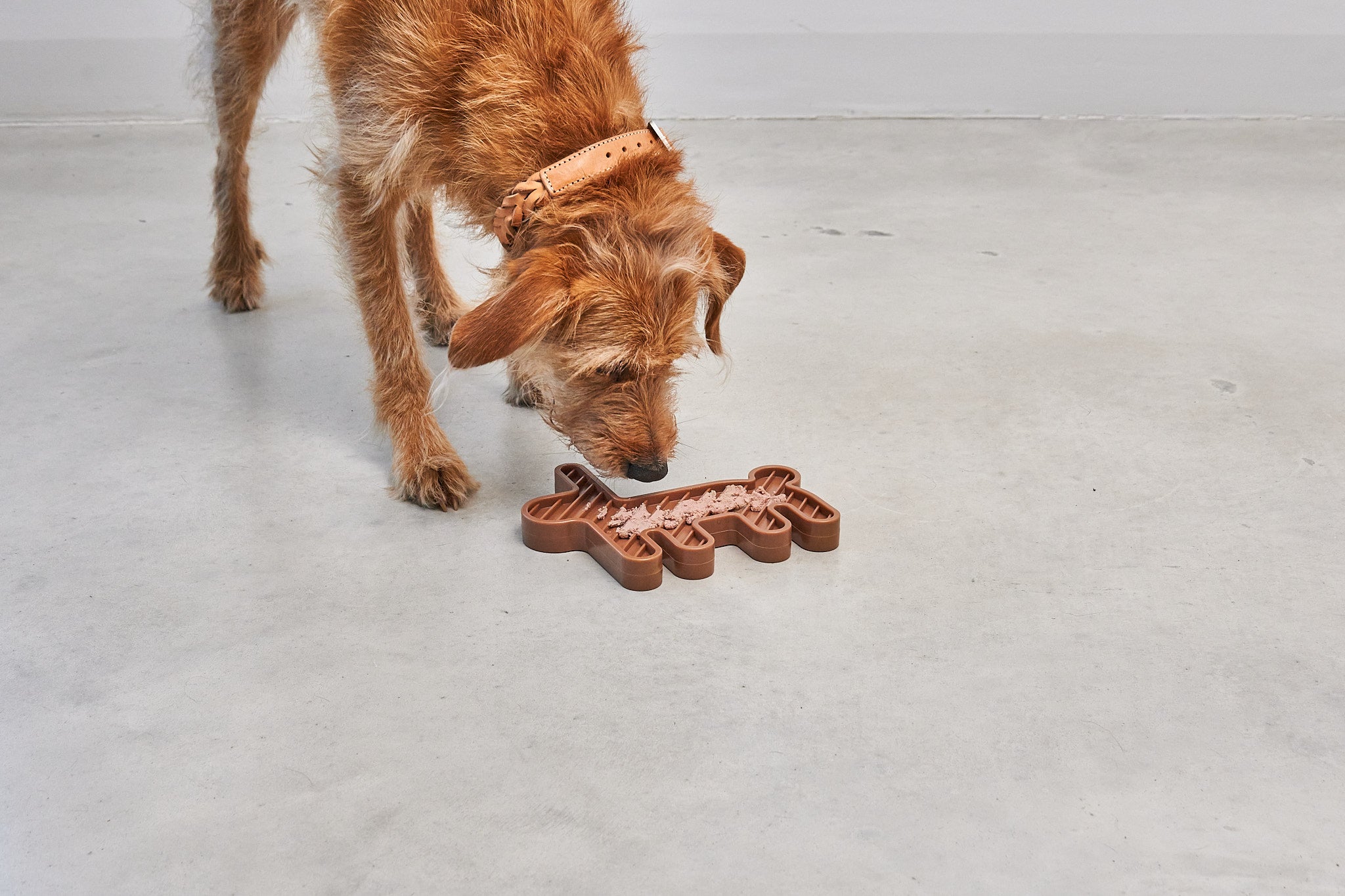 MiaCara Lepre Hundespielzeug Sandelholz Beschaeftigungsspielzeug fuer Hunde