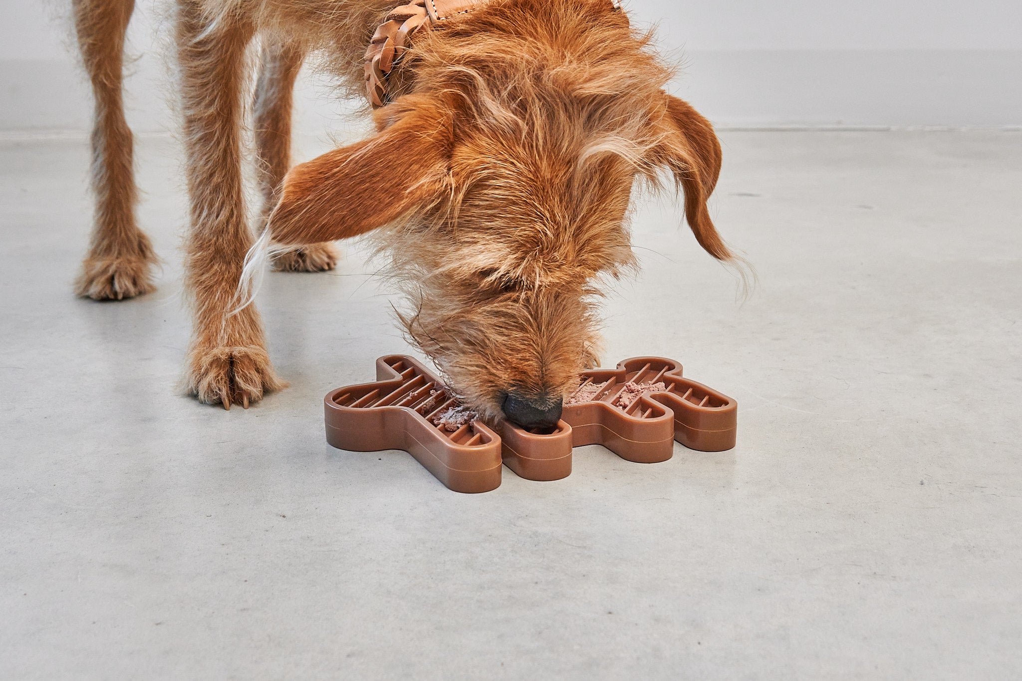 MiaCara Lepre Hundespielzeug Sandelholz Schleckmatte fuer Hunde