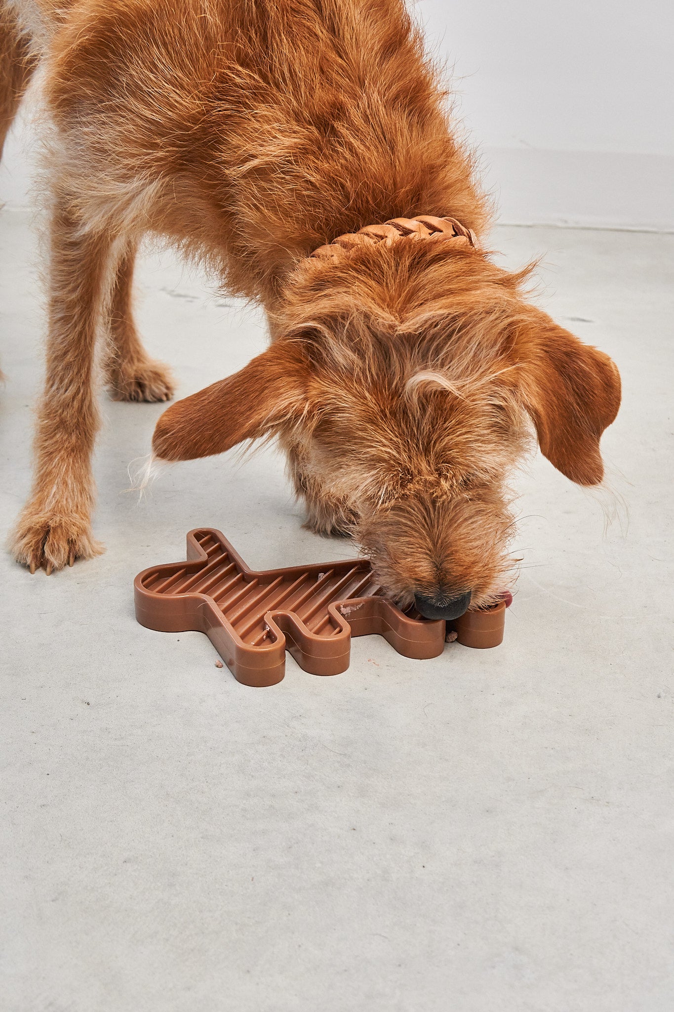 MiaCara Lepre Hundespielzeug Sandelholz Schleckspielzeug fuer Hunde