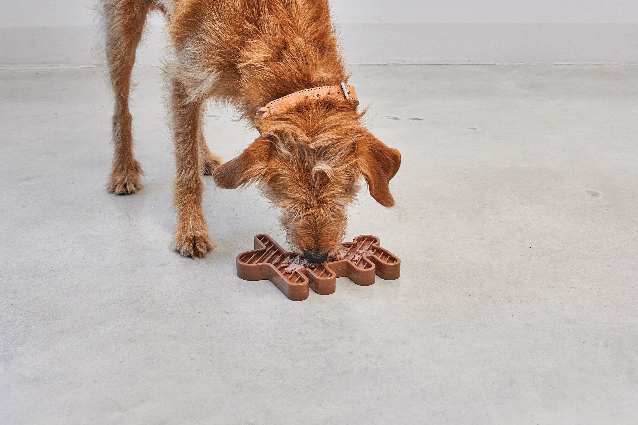 MiaCara Lepre Hundespielzeug Sandelholz Schleckspielzeug fuer Welpen