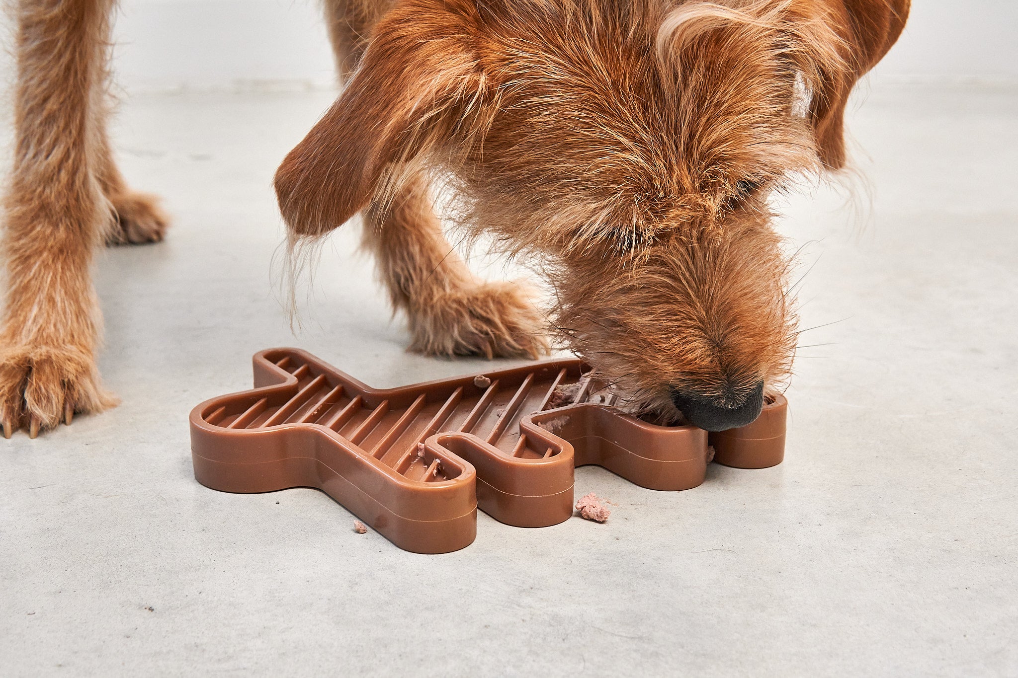 MiaCara Lepre Hundespielzeug Sandelholz Schleckspielzeug fuer kleine und grosse Hunde
