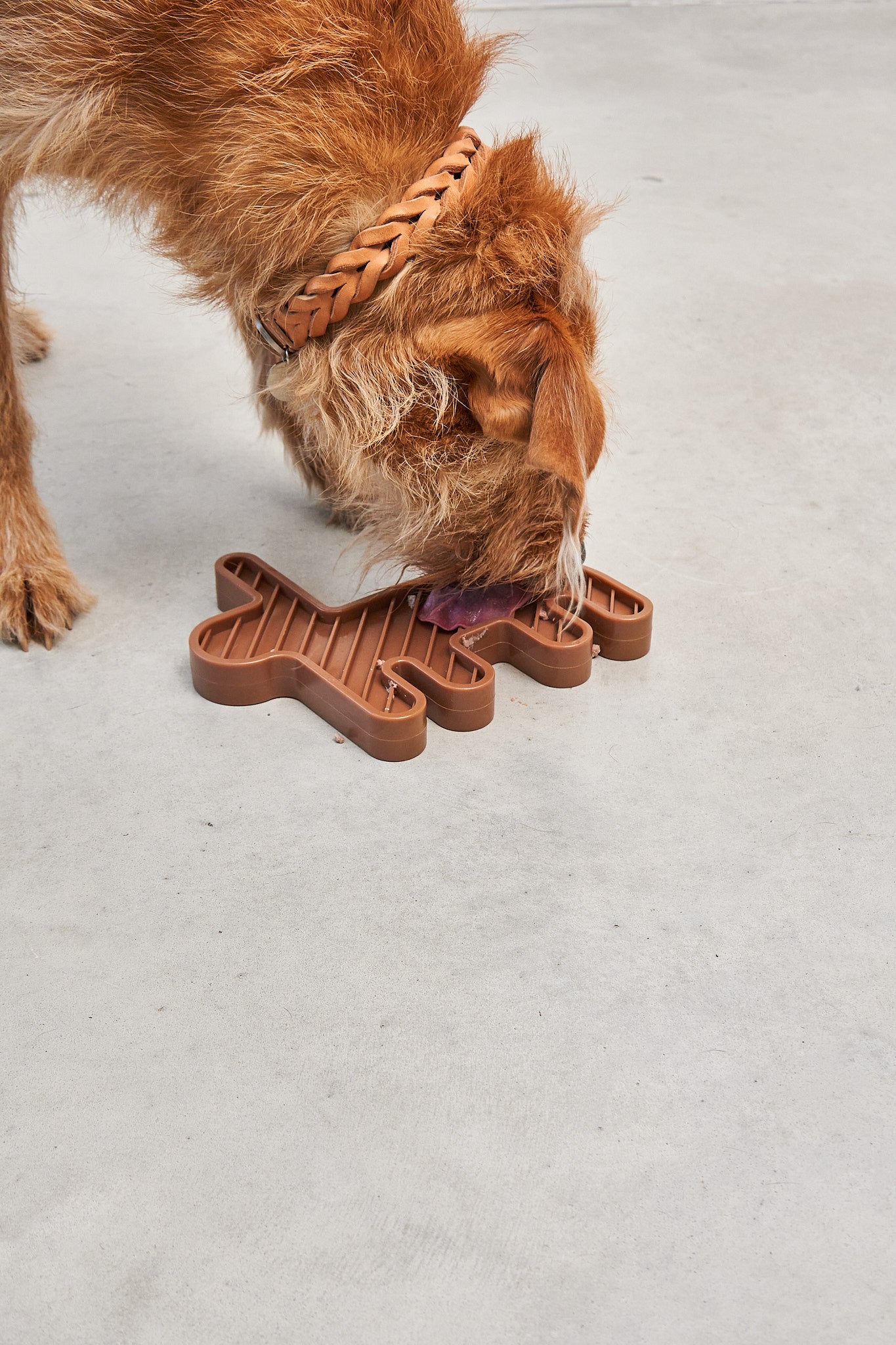 MiaCara Lepre Hundespielzeug Sandelholz Spielzeug fuer Hunde