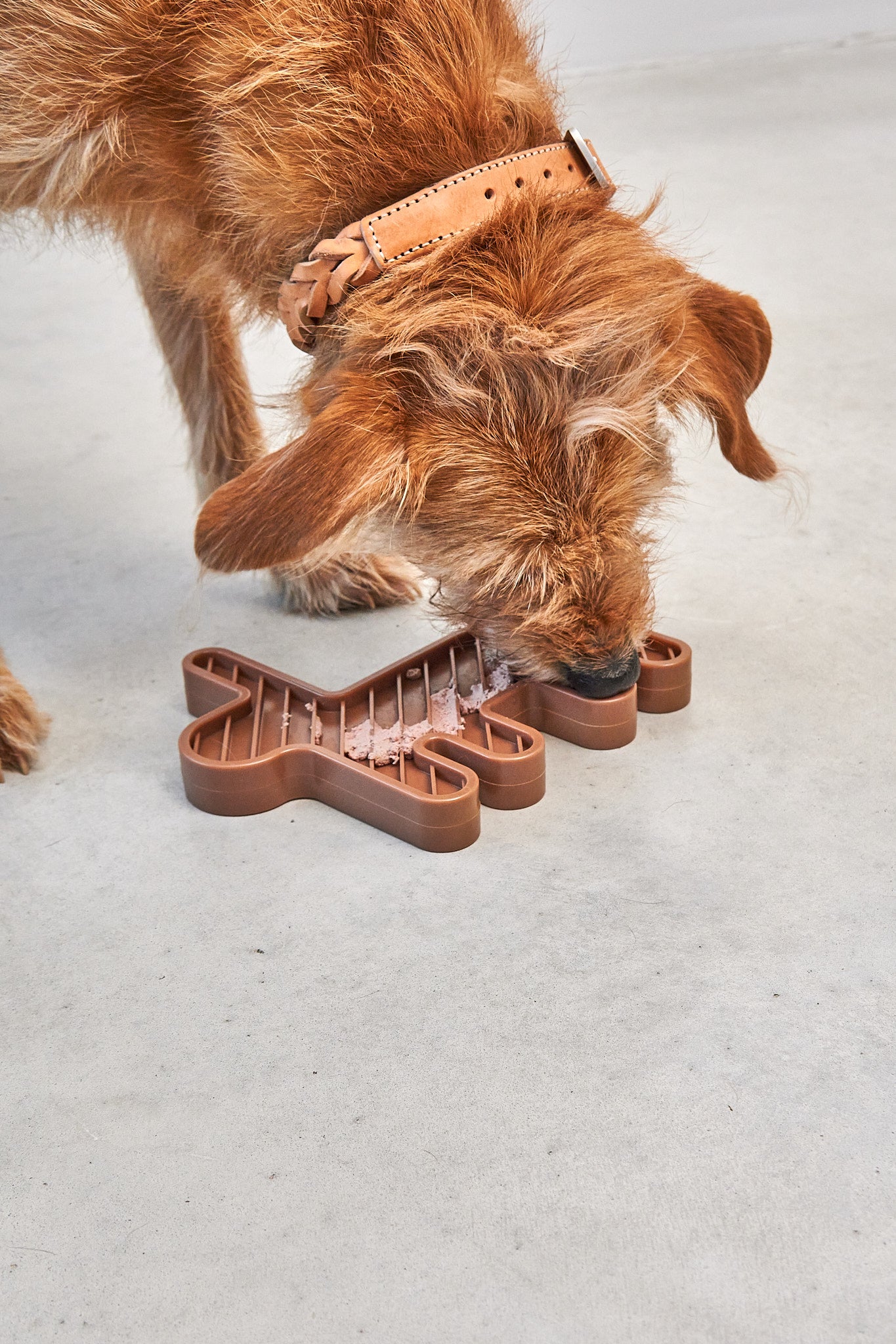 MiaCara Lepre Hundespielzeug Sandelholz braunes Schleckspielzeug fuer Hunde