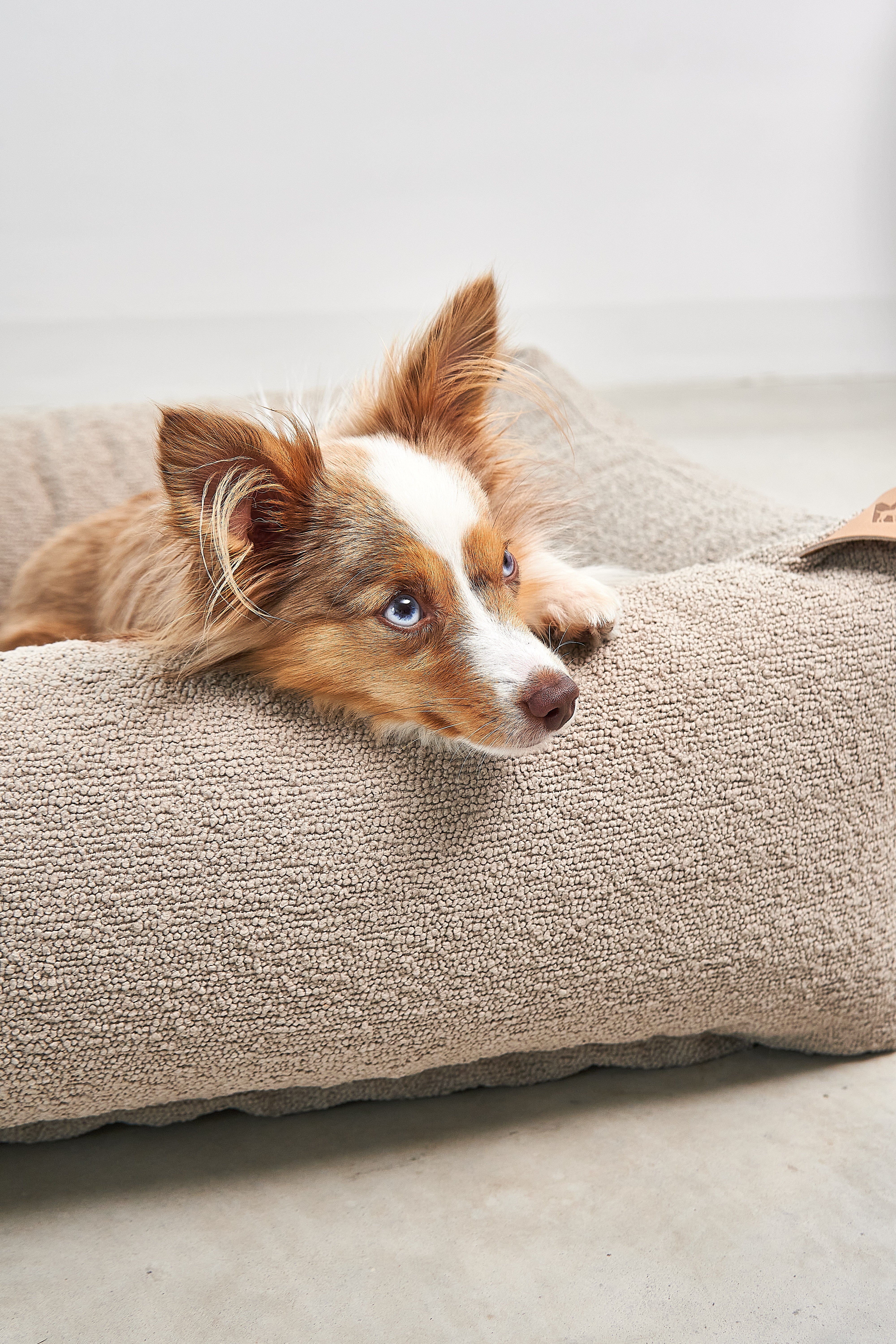 MiaCara Mondo Hundebett Cappuccino Hundekorb