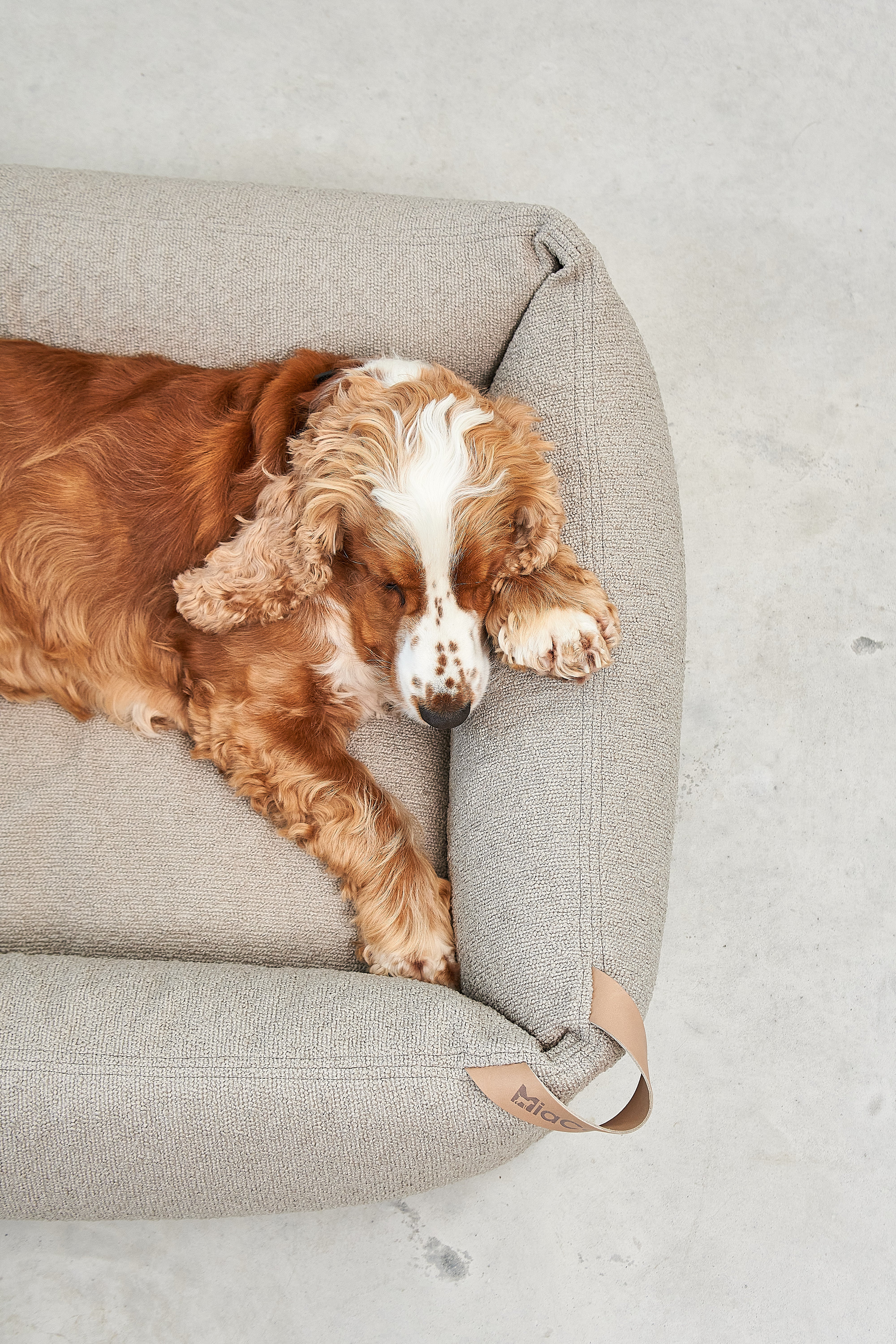 MiaCara Mondo Hundebett Cappuccino Schlafplatz Hund