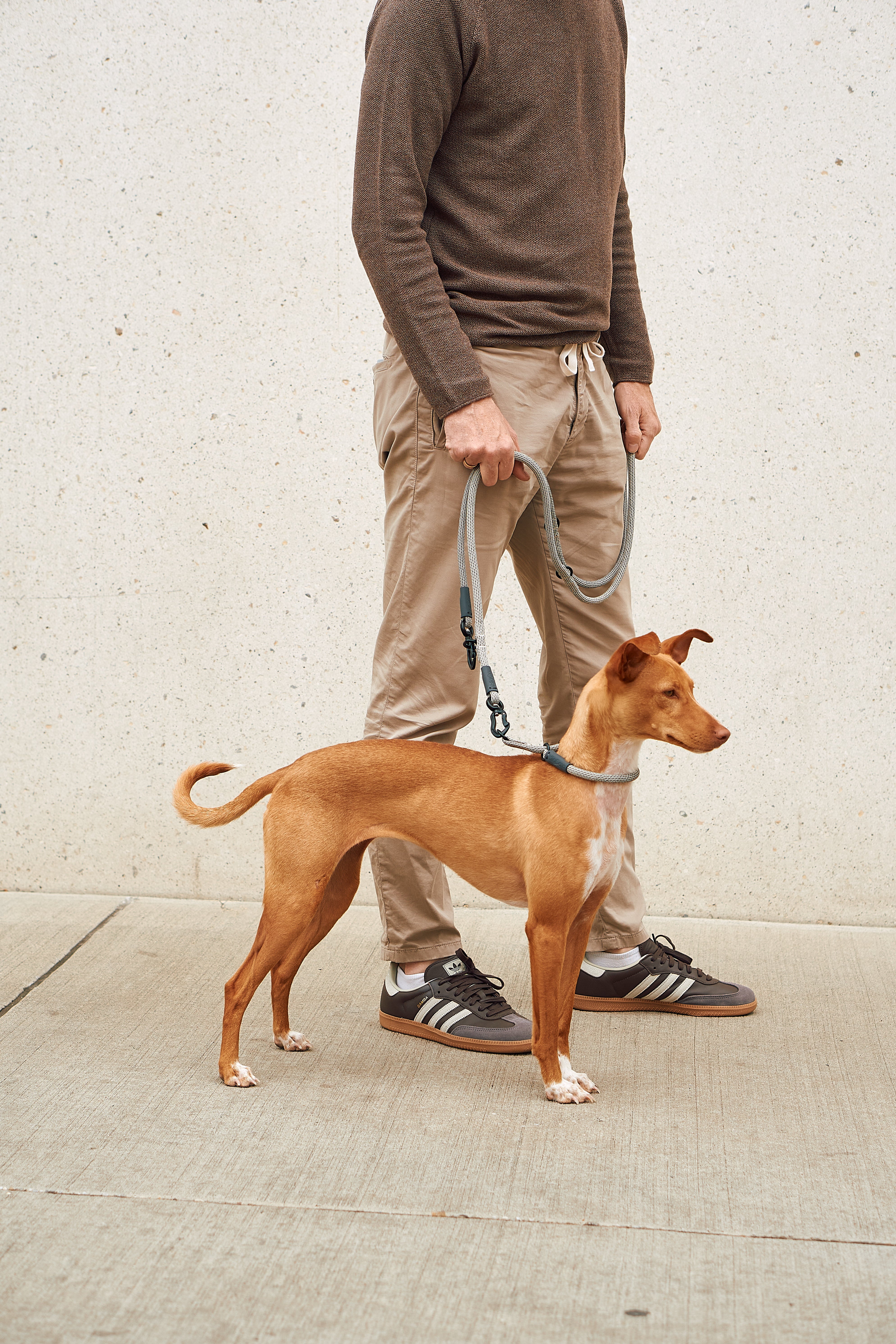MiaCara Monza Hundehalsband verstellbar Asphalt Greige Grolive Zugstopp Halsband Hund gassi robust